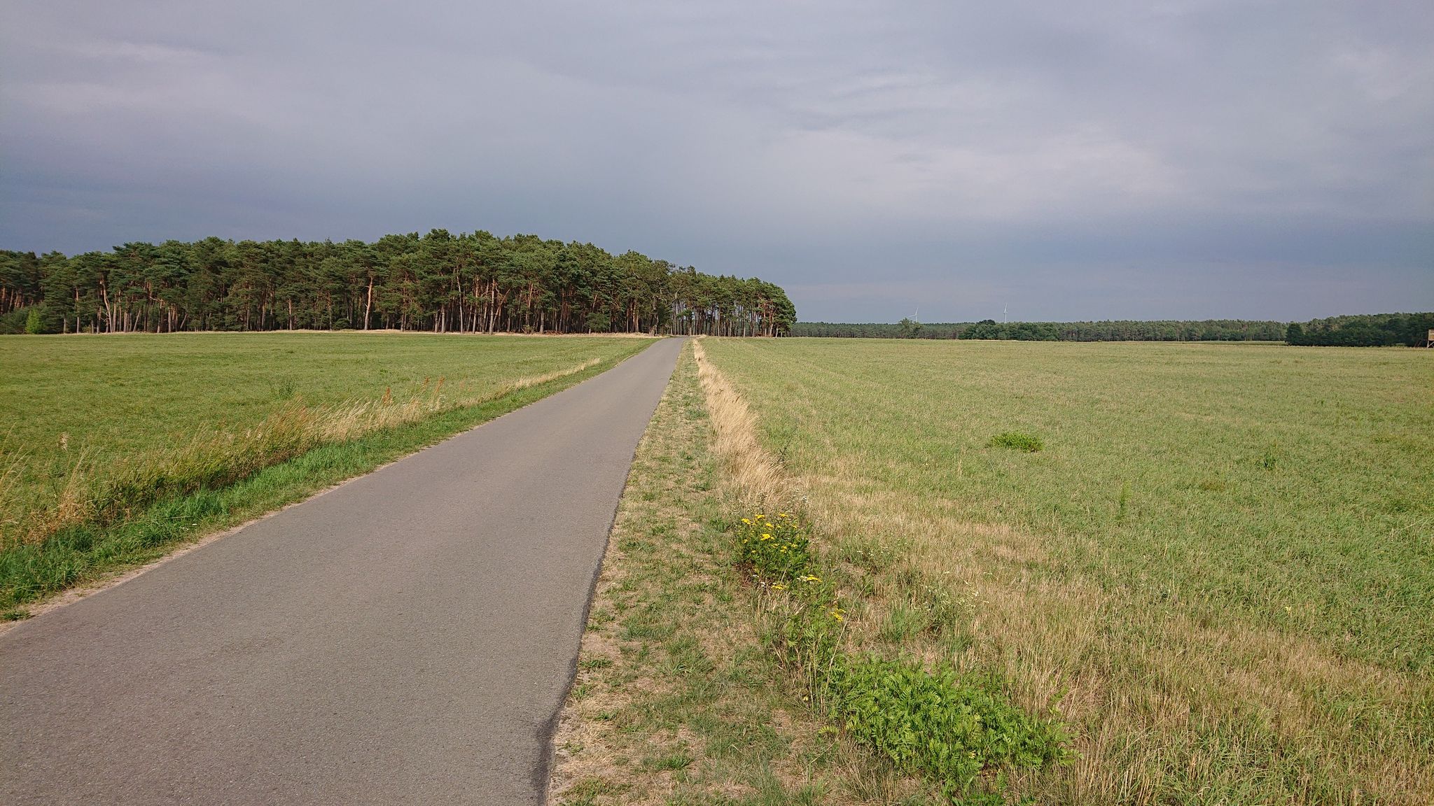Radweg zwischen Krossen und Sagritz