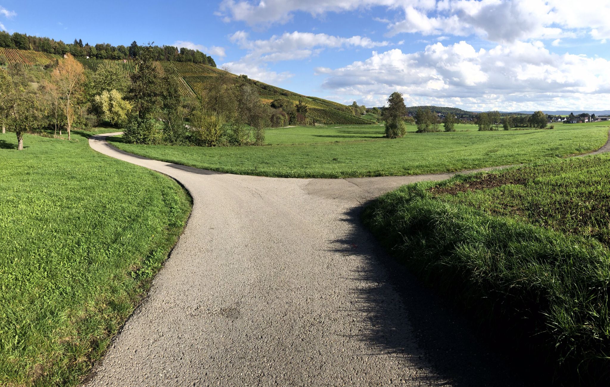 Weggabelung zwischen Allmersbach und Kleinaspach