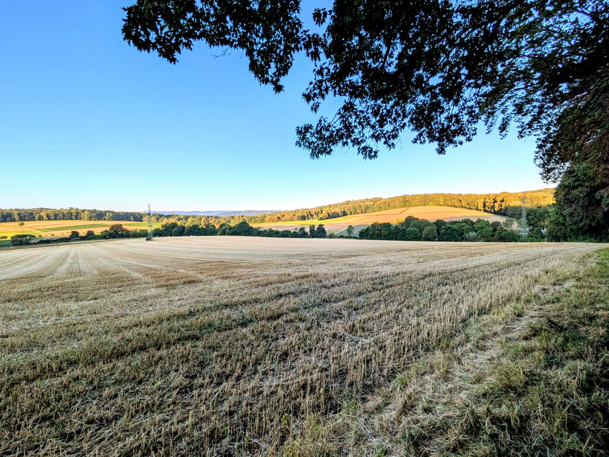 Blick über das Gröninger Feld