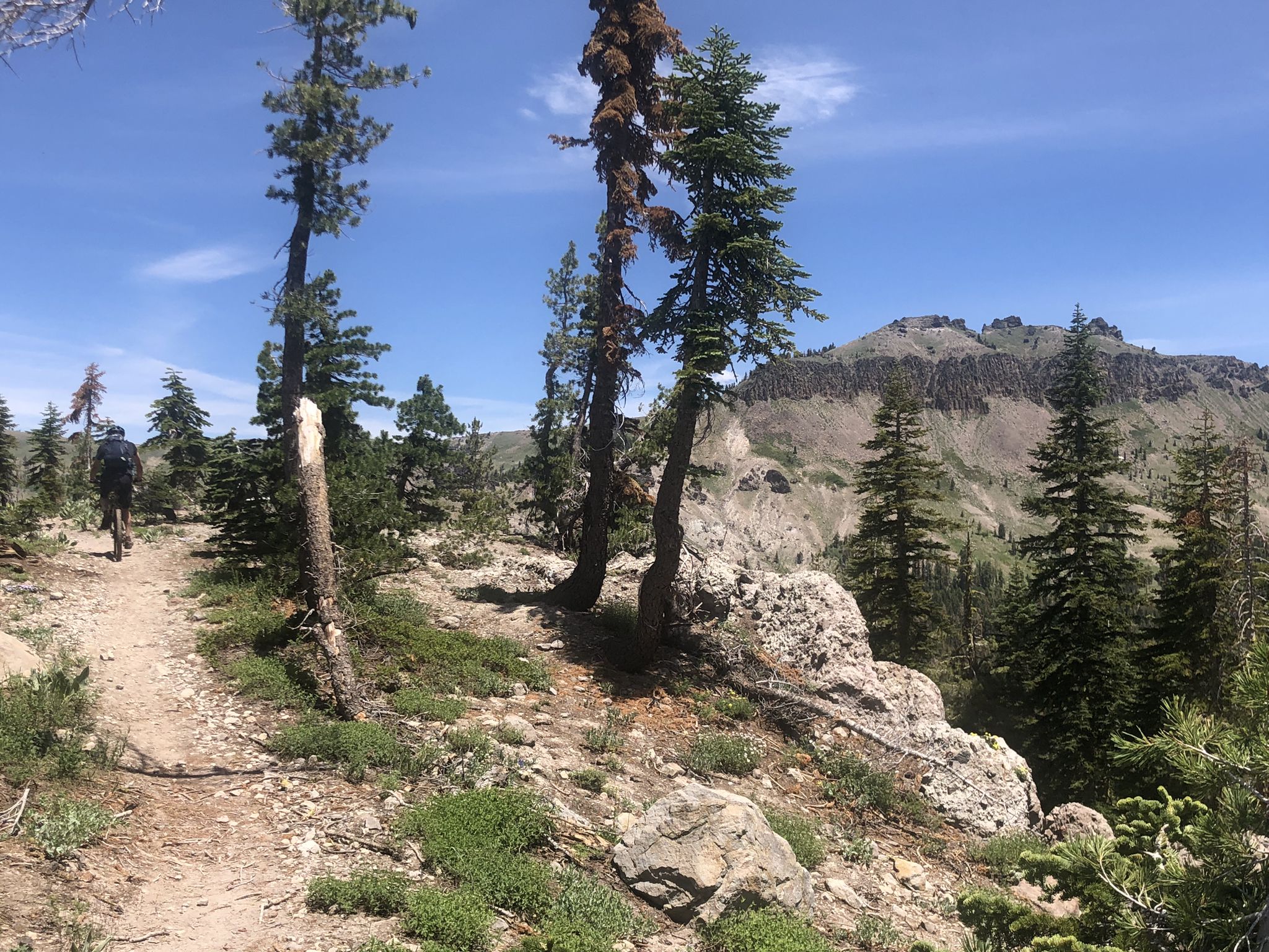 Mountain biker on a dirt trail through rocky, forested terrain on a sunny day. - Hole in the Ground Loop
