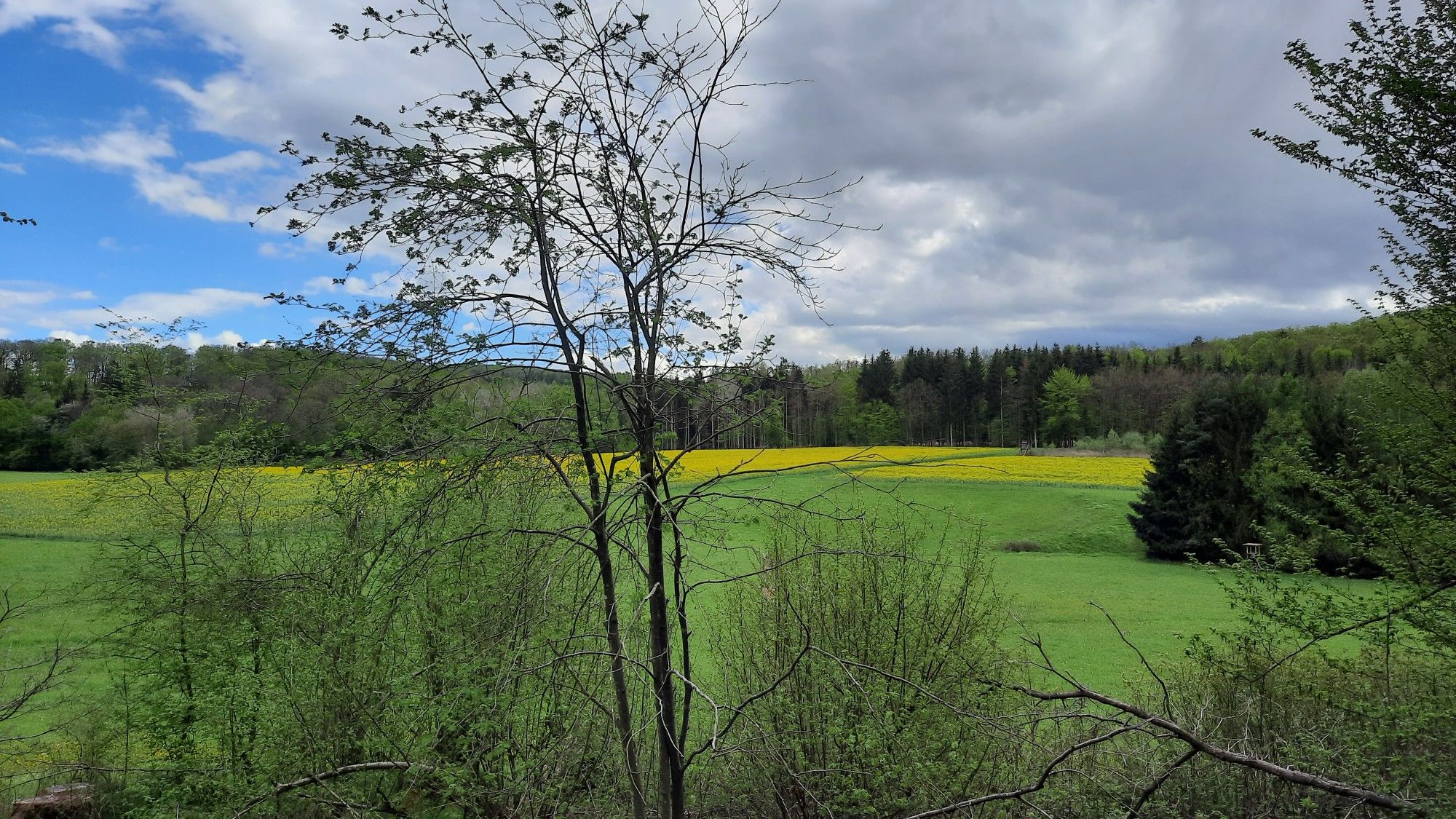 Steinkerzbachtal