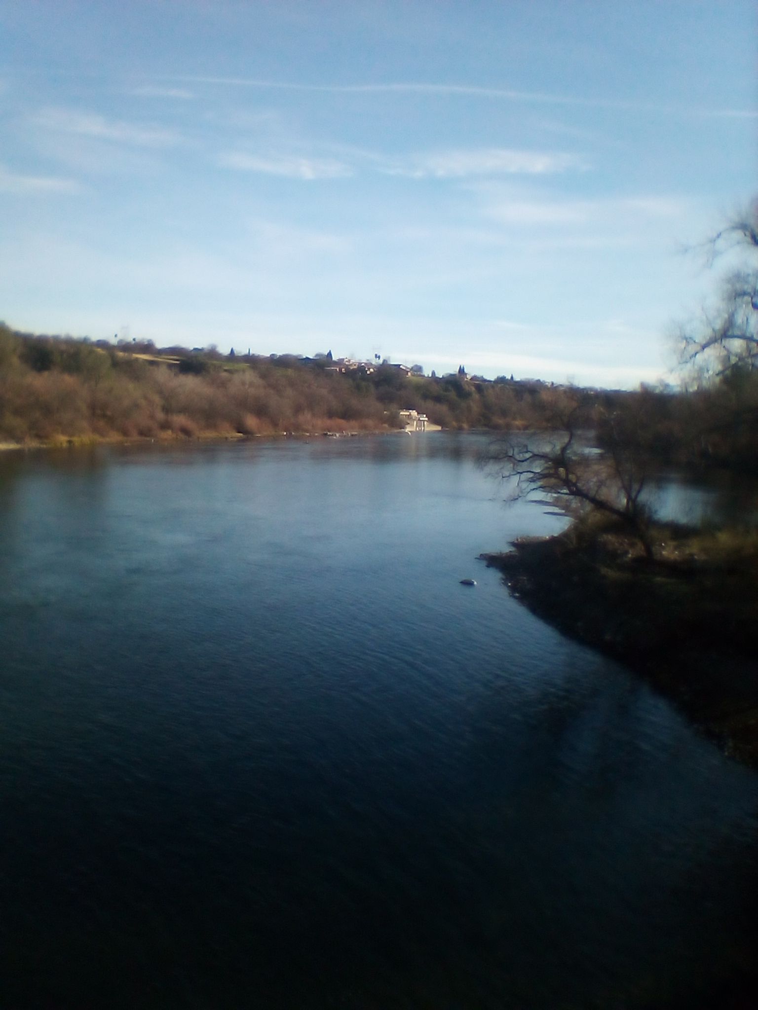 Wide river flowing between tree-lined banks under a bright blue sky. - Oak Savannah Arboretum – Sundial Bridge loop from Turtle Bay Bird Sanctuary