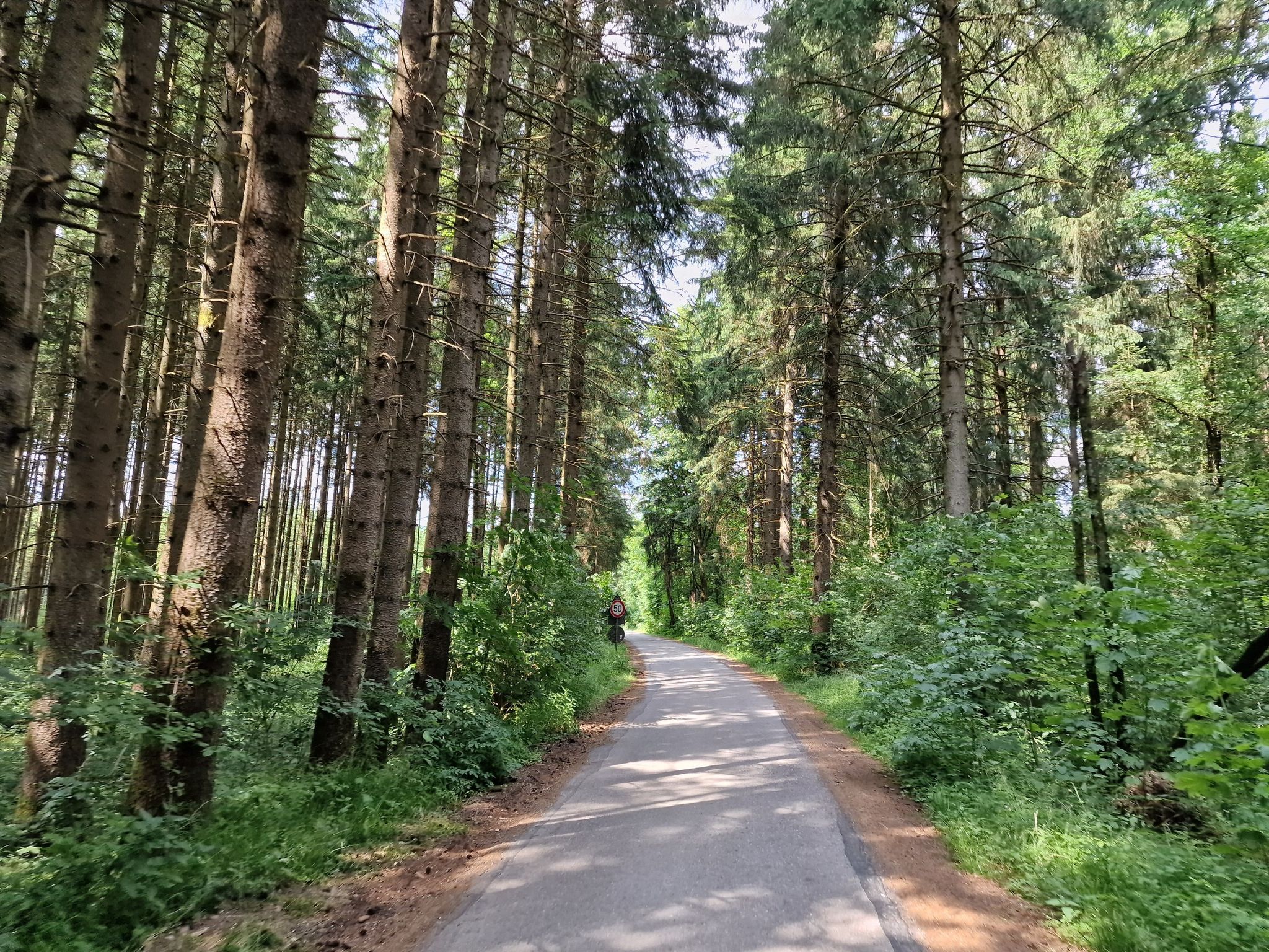 Sog. Schleichweg