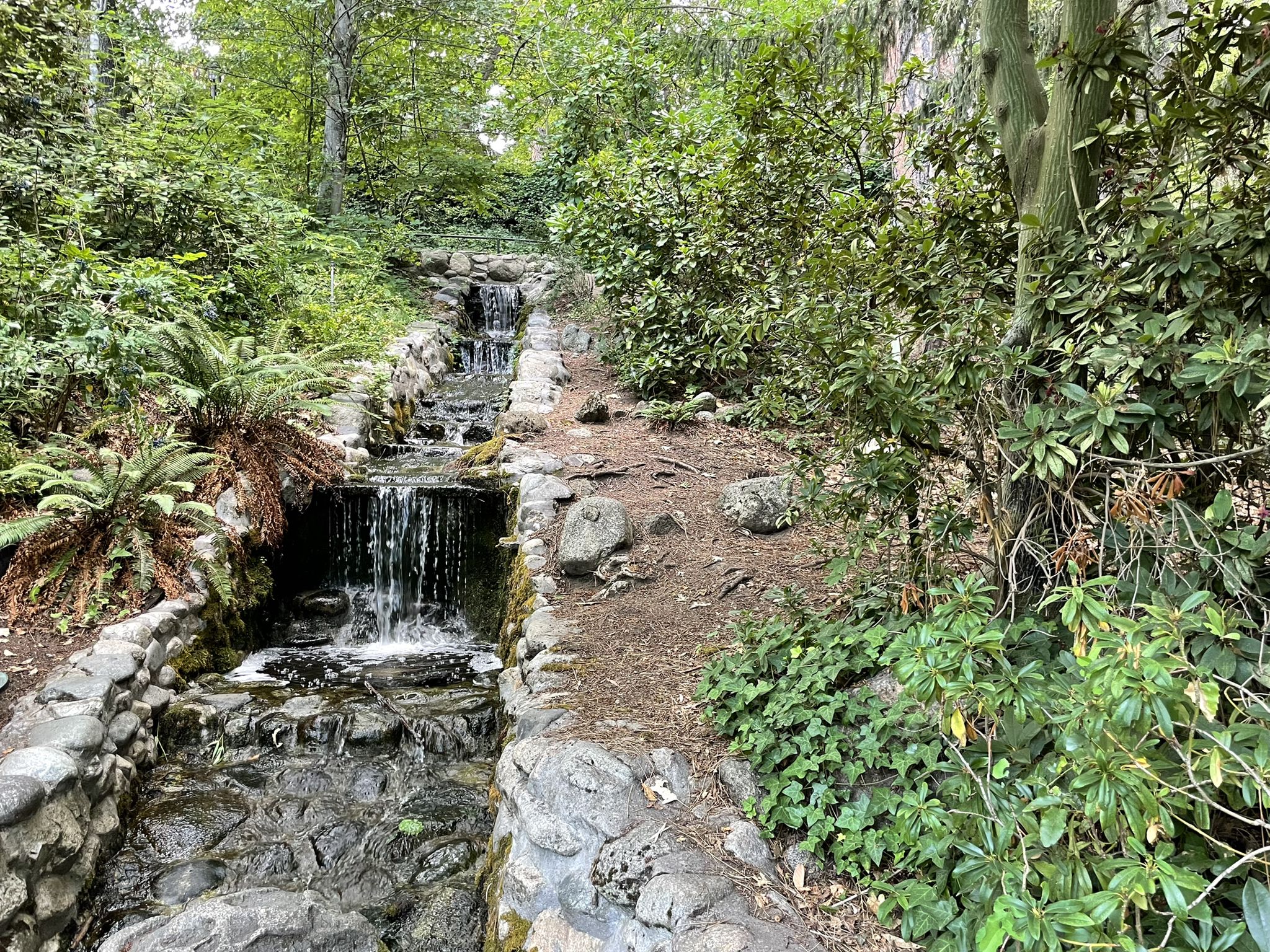 A multi-tiered waterfall cascades down rocks amidst dense green forest. - Meyer Memorial Pond – Oregon Shakespeare Festival loop from Ashland