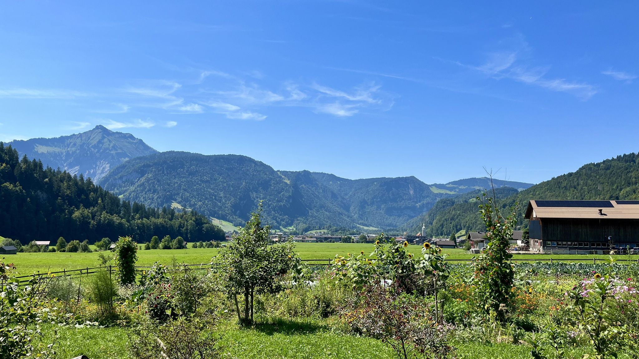 Rückblick übers Ach-Tal