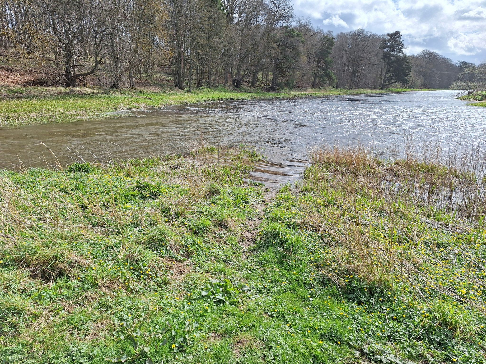 Don and Urie confluence