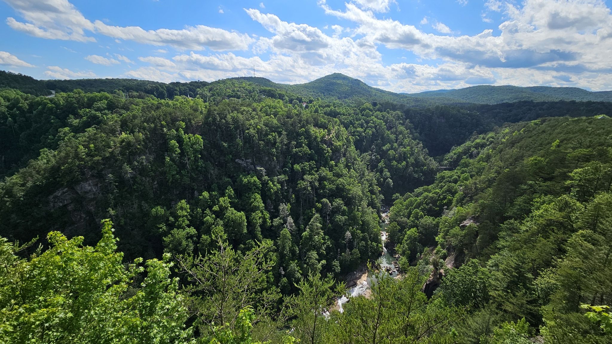 Expansive view of a lush green forested canyon with a river below. - Stone Place and High Bluff Trail Loop