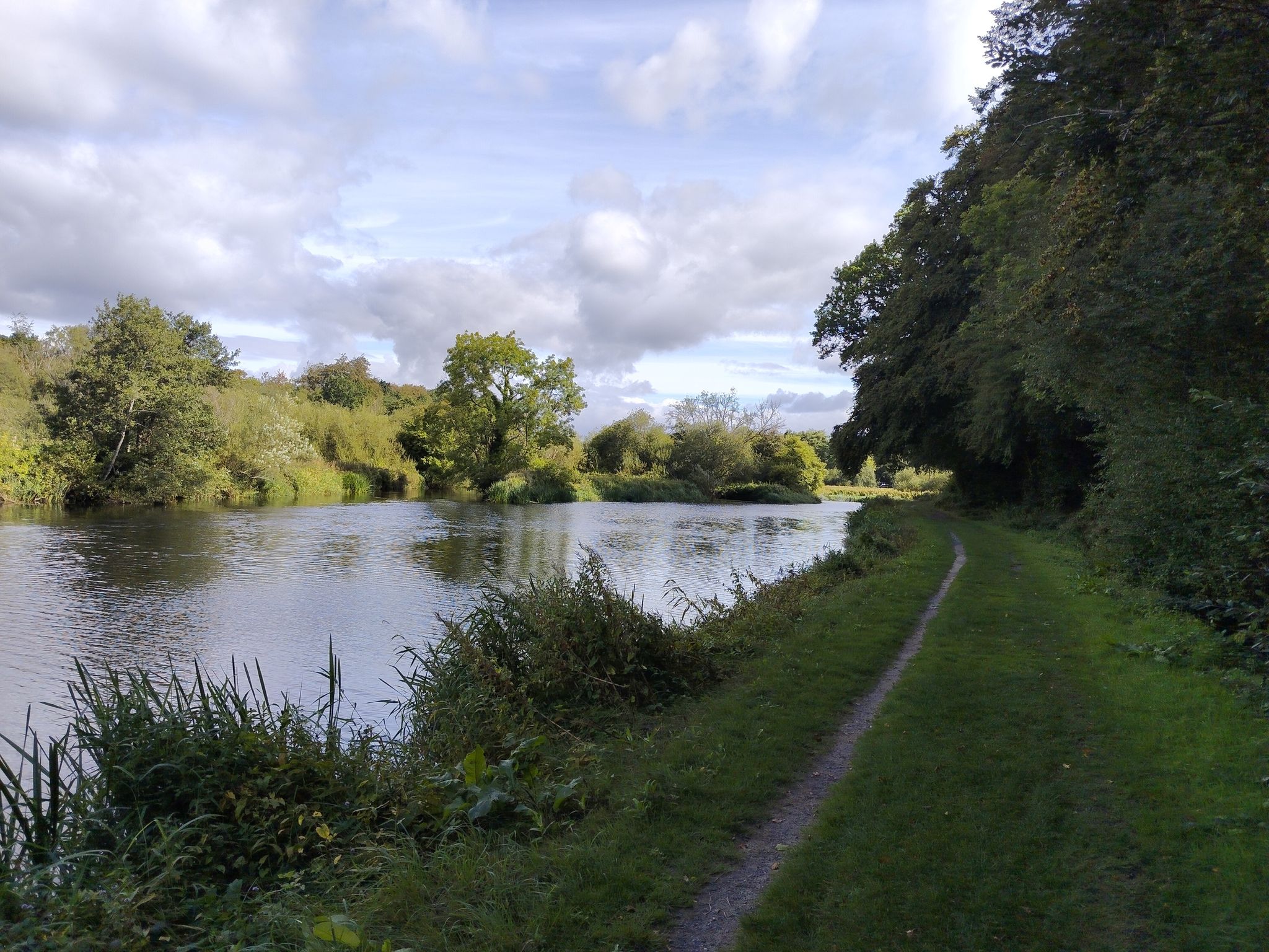 The River Bank
