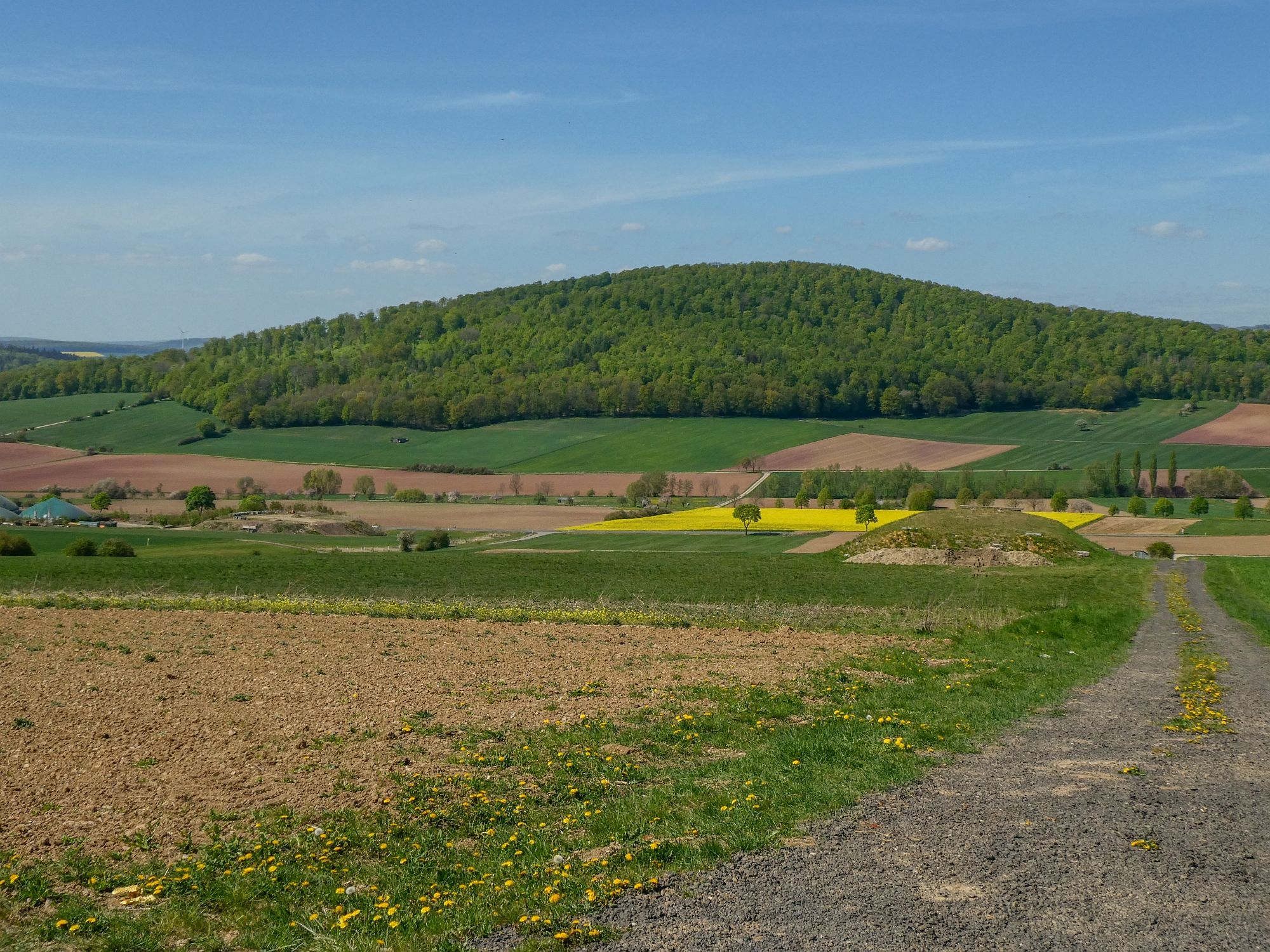 Blick auf die Grefenburg