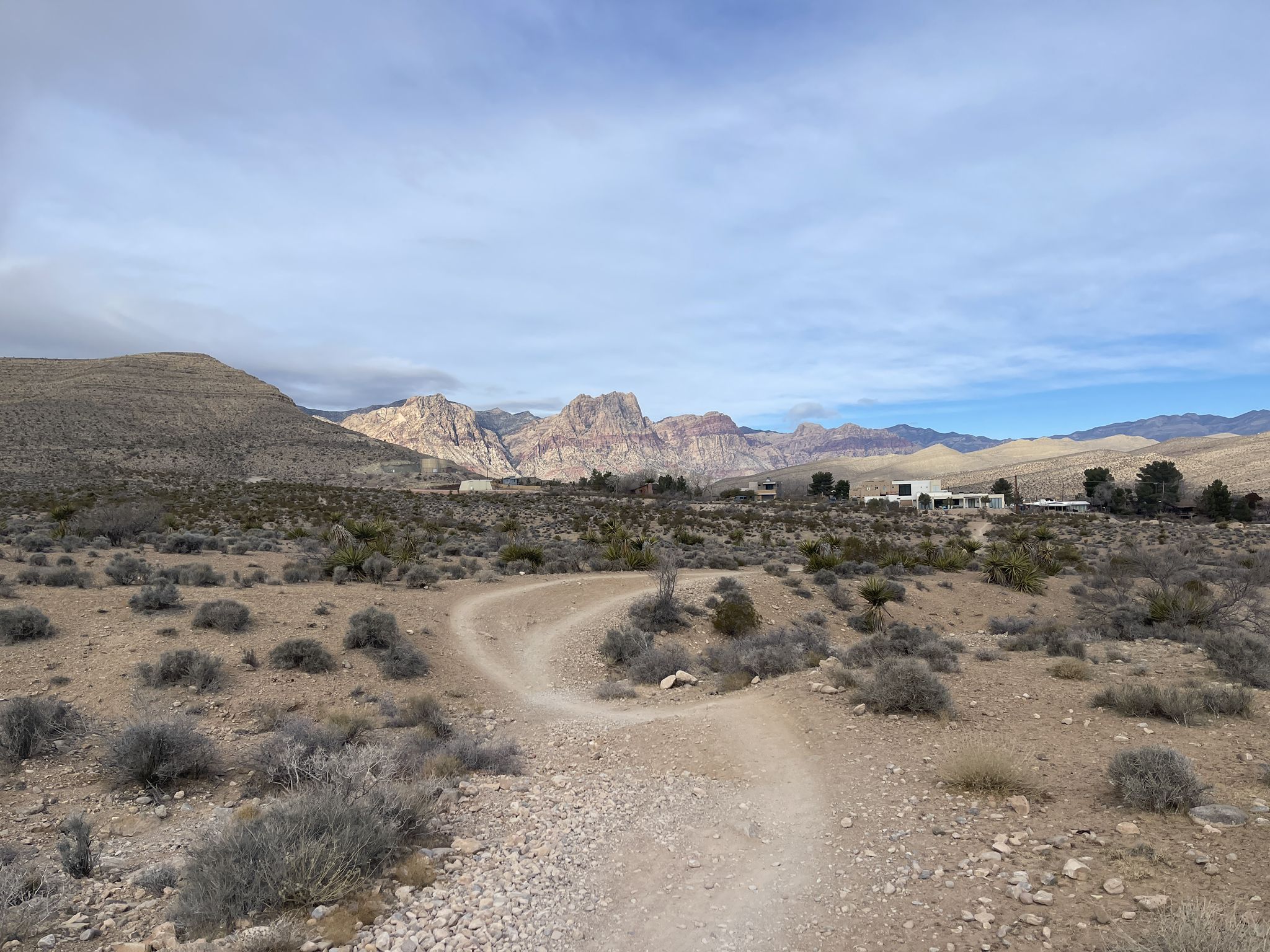 Winding dirt path through desert scrub, with distant mountains and buildings. - Blue Diamond loop from Blue Diamond