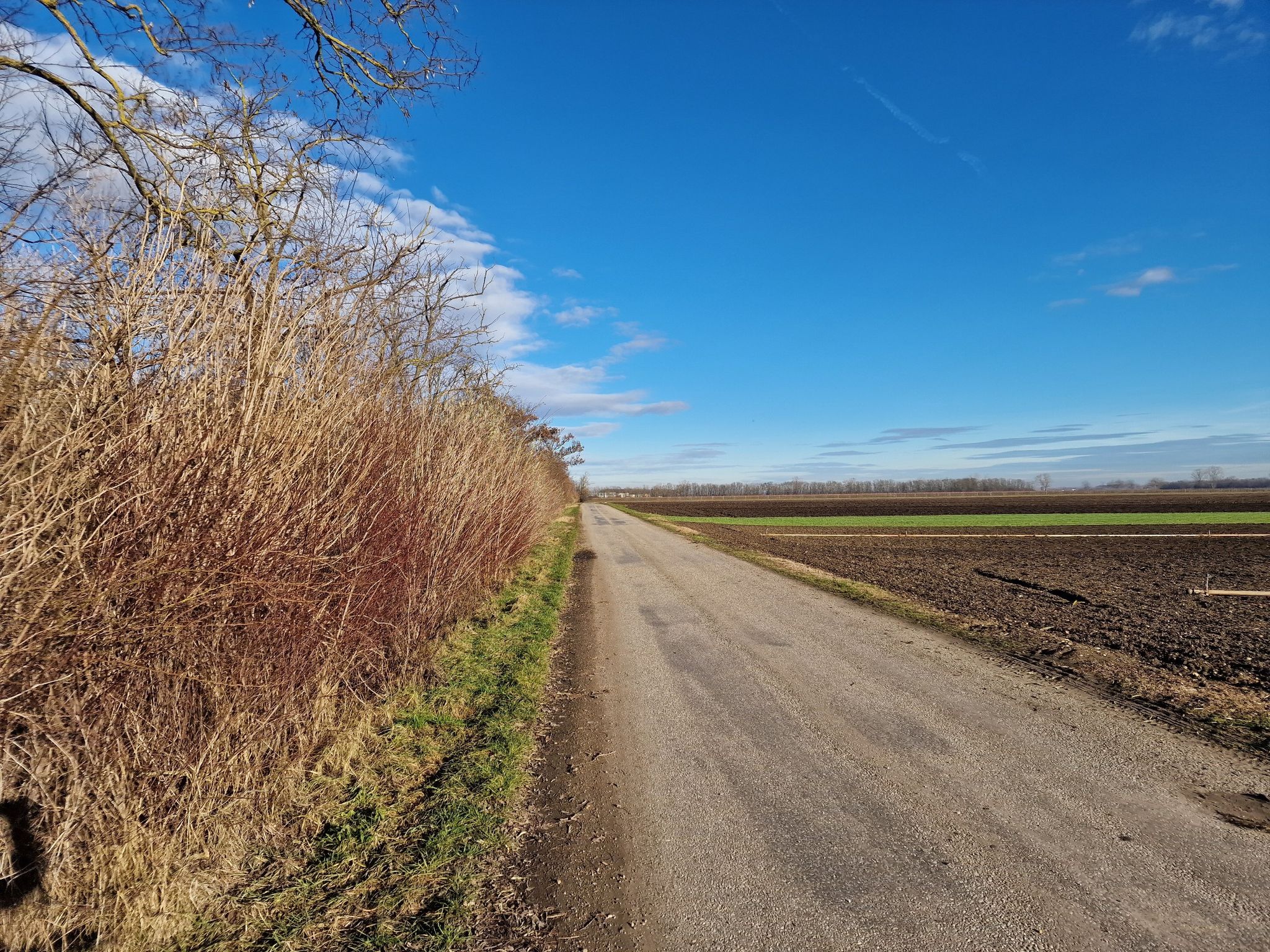 Am Weg nach Andau