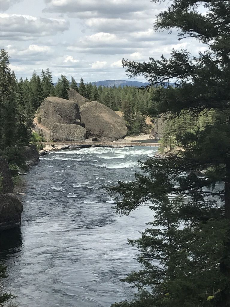 Rushing river flowing past large rock formations and pine trees. - Trail 25 and Centennial Loop