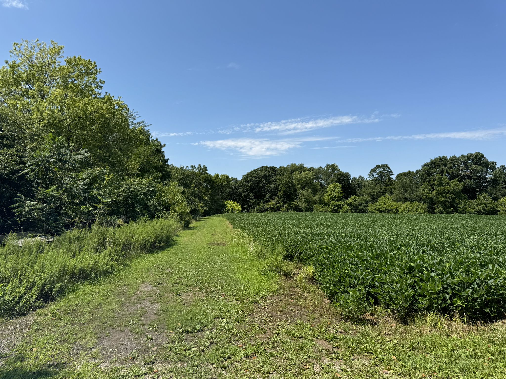 Grassy path alongside a vibrant green field under a bright blue sky. - Boathouse Row – Martin Luther King Jr. Drive loop from Lansdale Septa