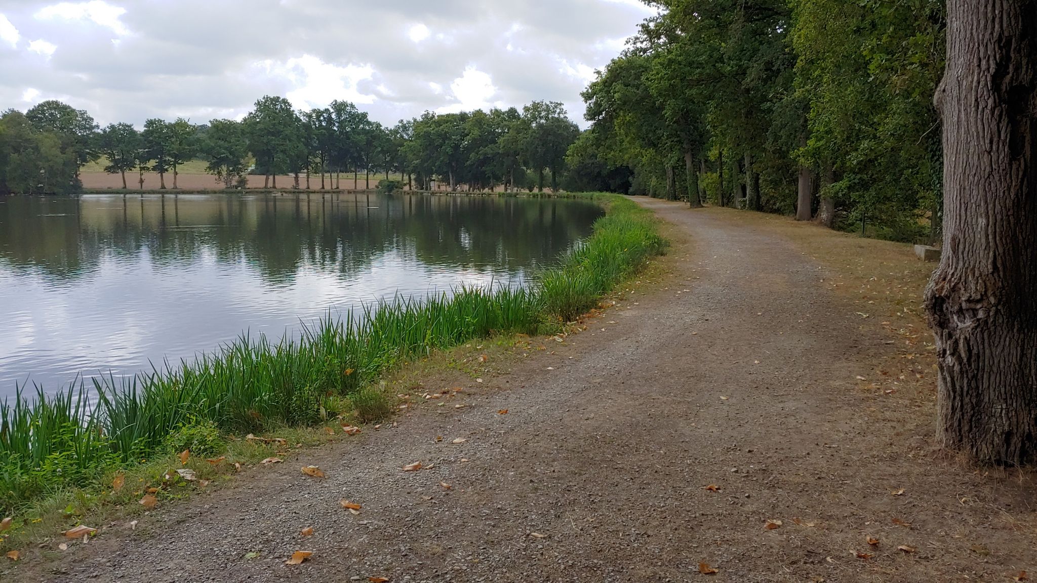 Pausenbank am Fischteich
