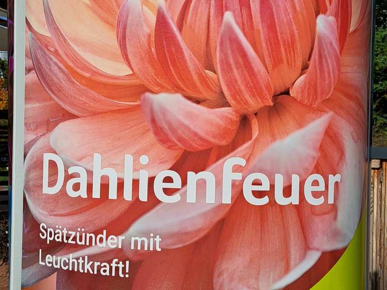 34+ 3 Oktober Britzer Garten, Im britzer garten erwartet euch eine