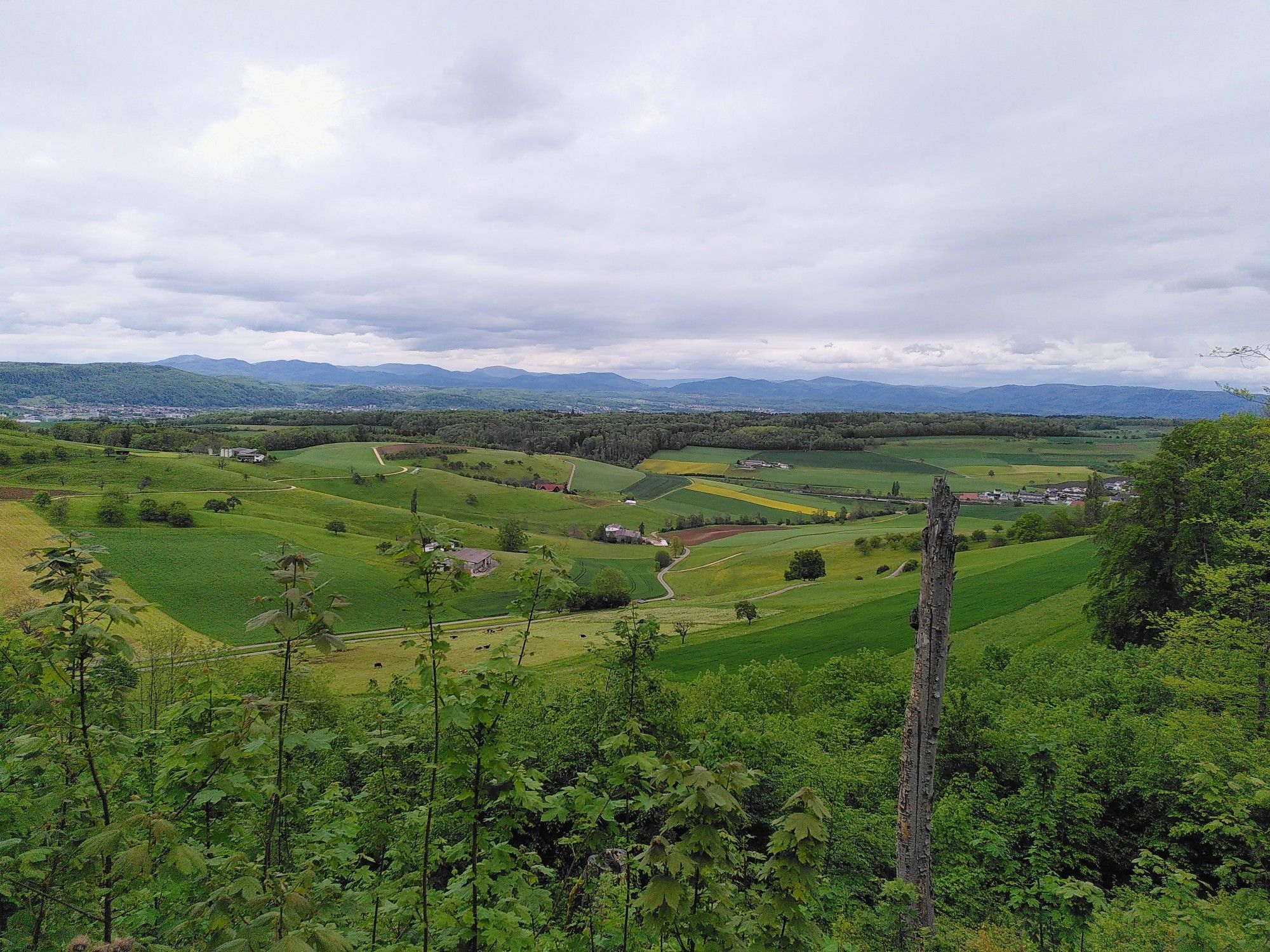oberhalb Giebenach/Arisdorf