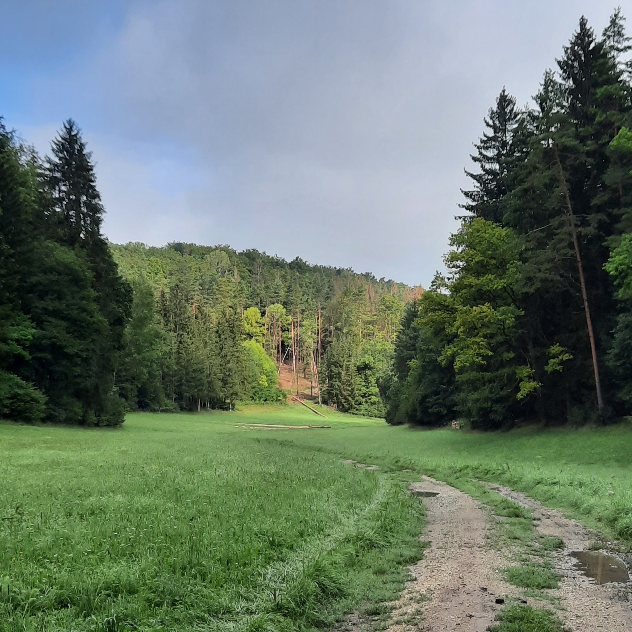 Die Sonne kommt raus