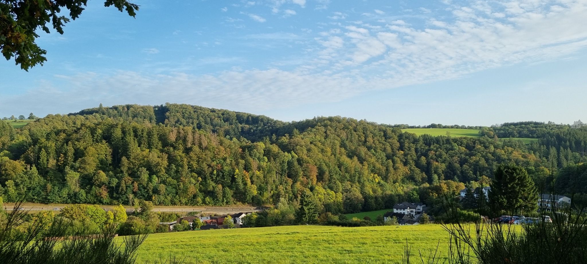 In der goldenen Abendsonne
