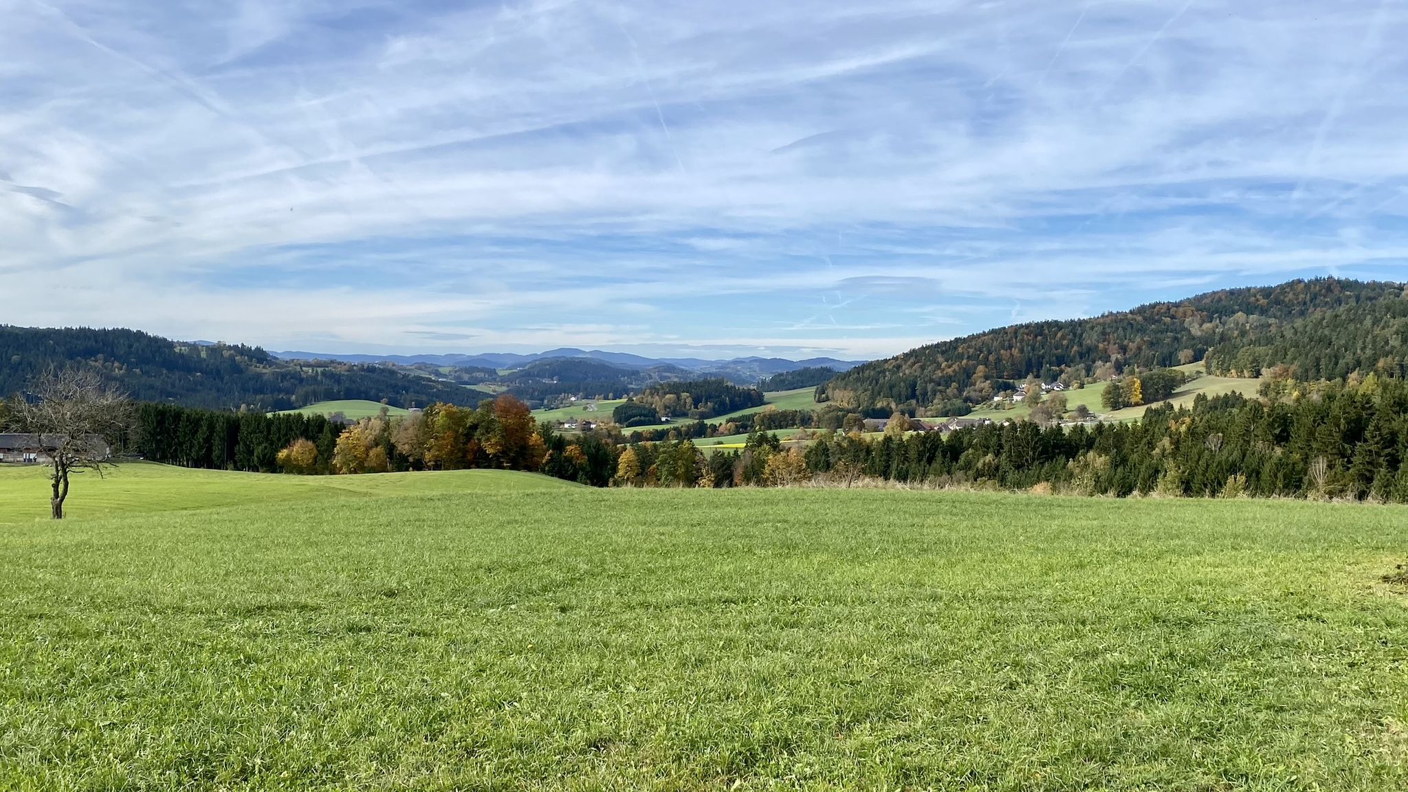 steinerne Mühl Richtung Westen (Haslach)