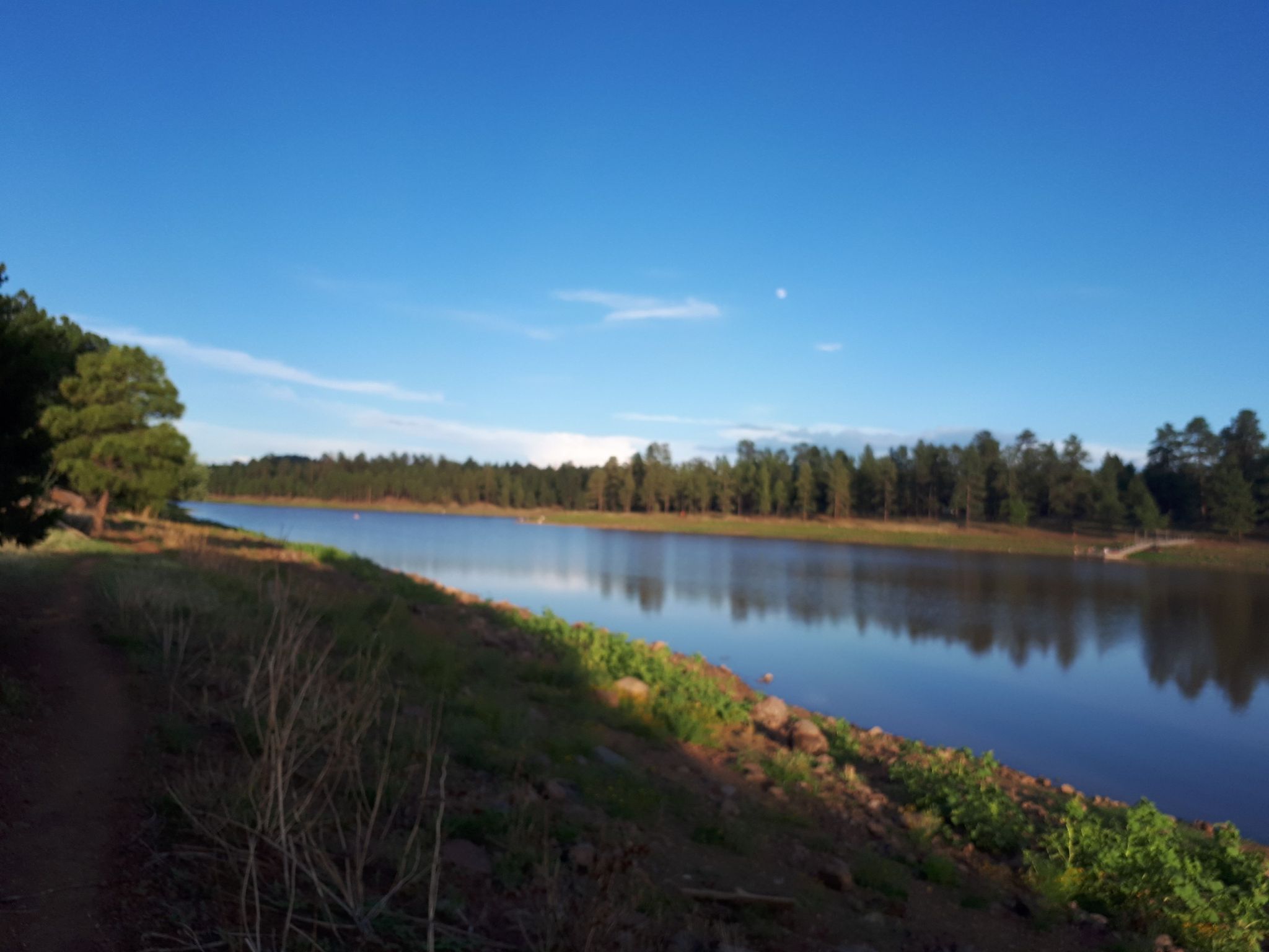 Sunny day over a calm lake with pine trees and a dirt path. - Kaibab Lake Loop