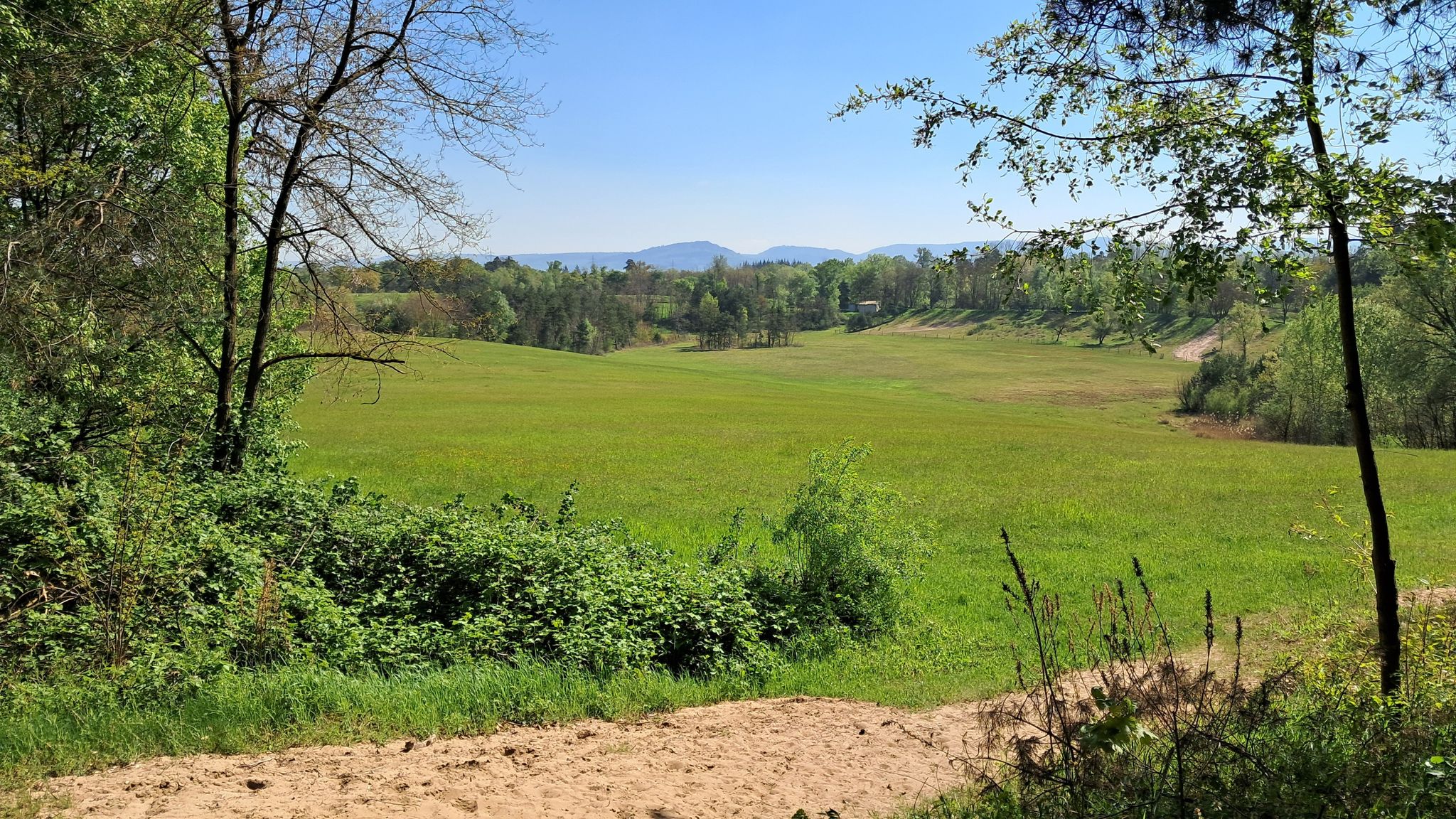 Sanddünen