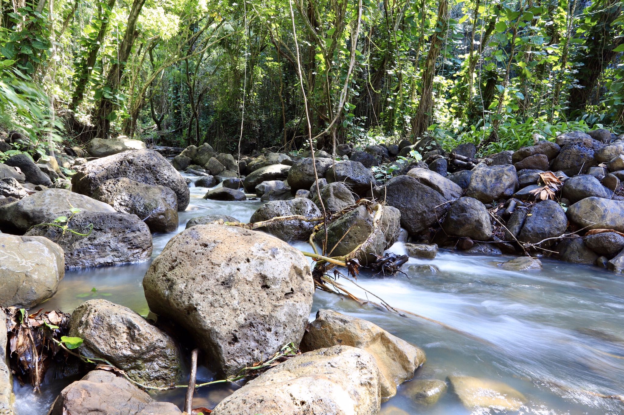 Rocky stream flows through a lush, sunlit tropical forest. - Ka‘īlio Point to Hanalei Pier