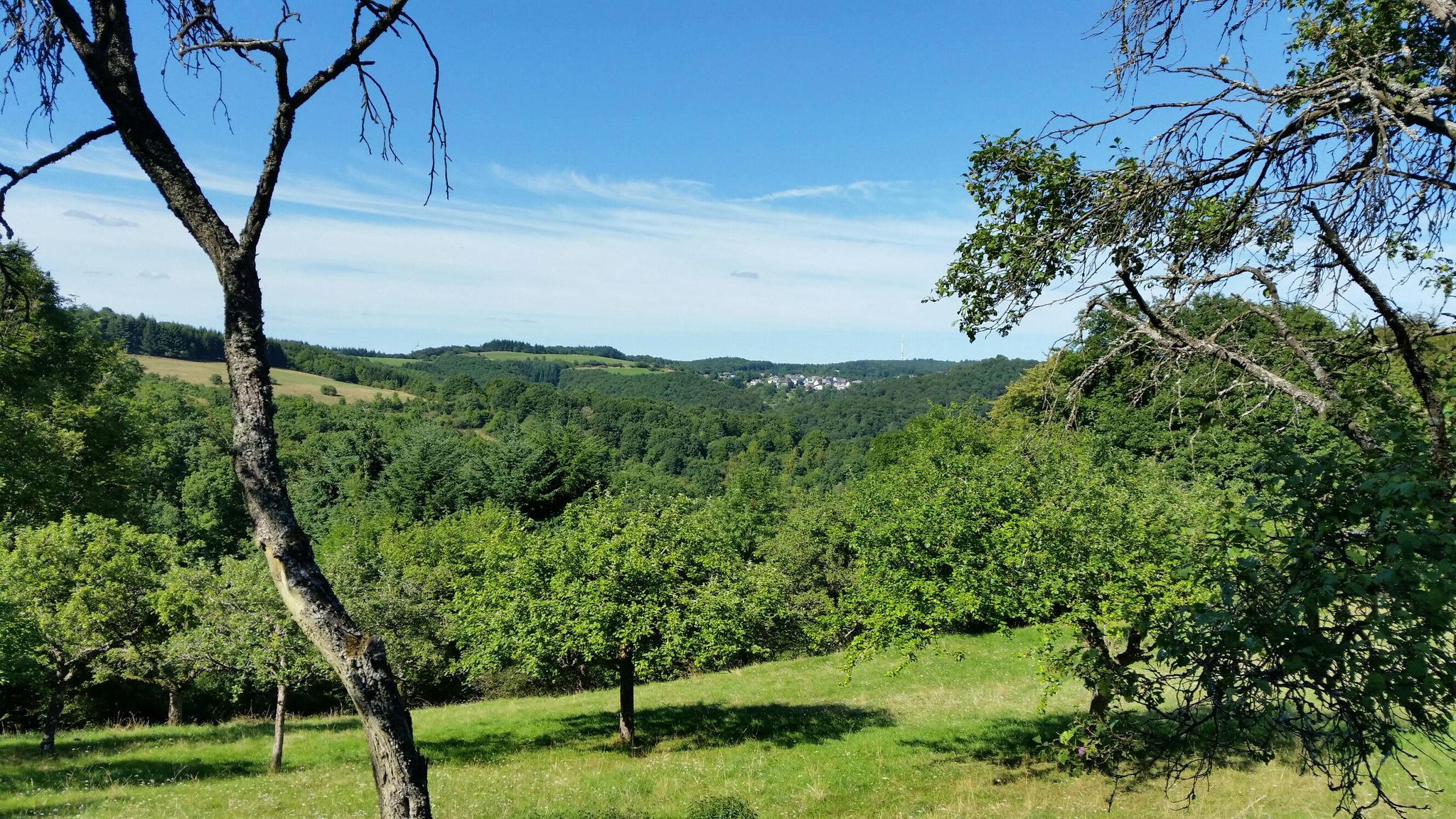 Tringenstein
