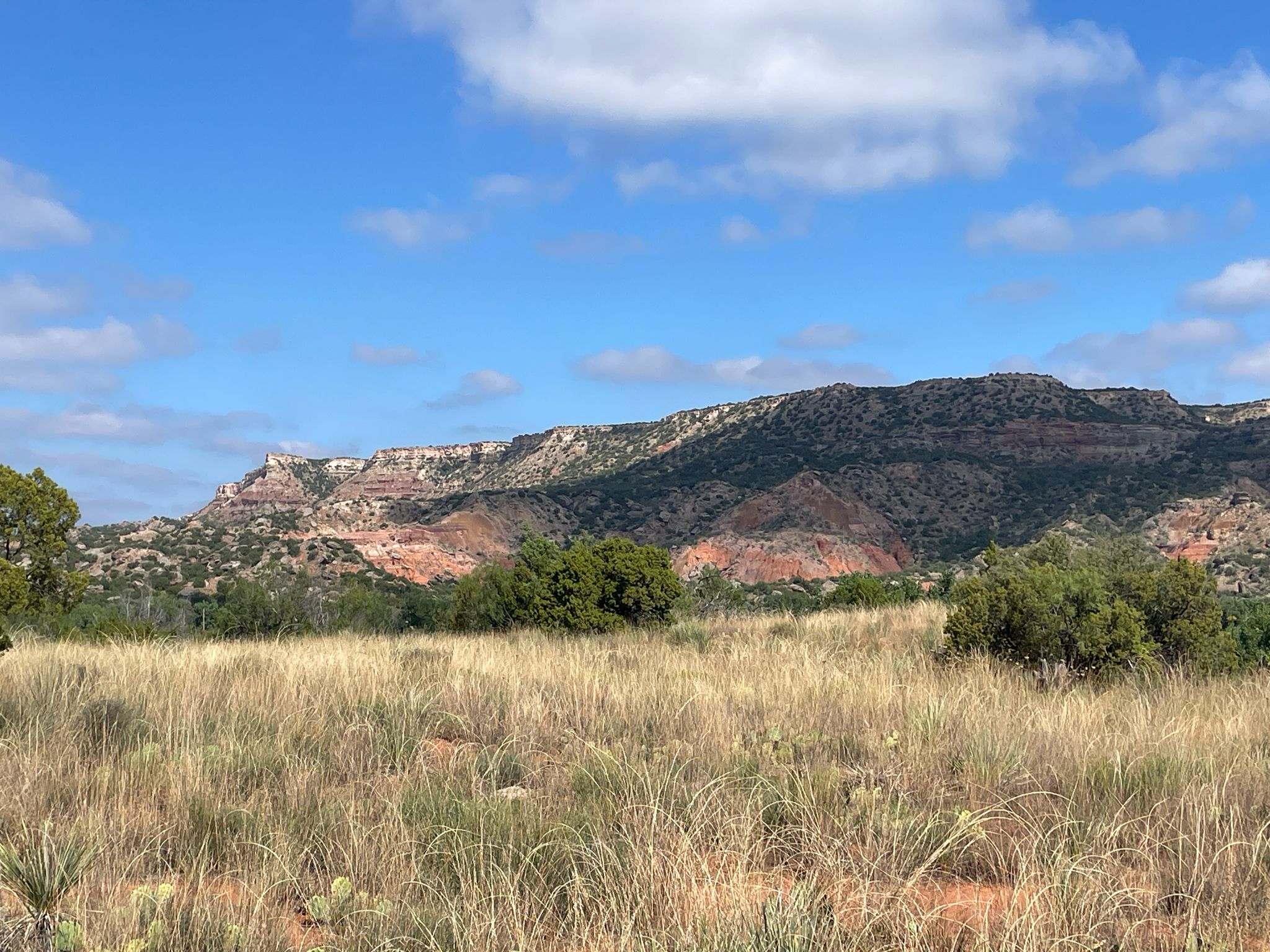 Grassy foreground, distant colorful mountains under a blue sky with clouds. - Juniper, Sunflower, and Rojo Grande Loop