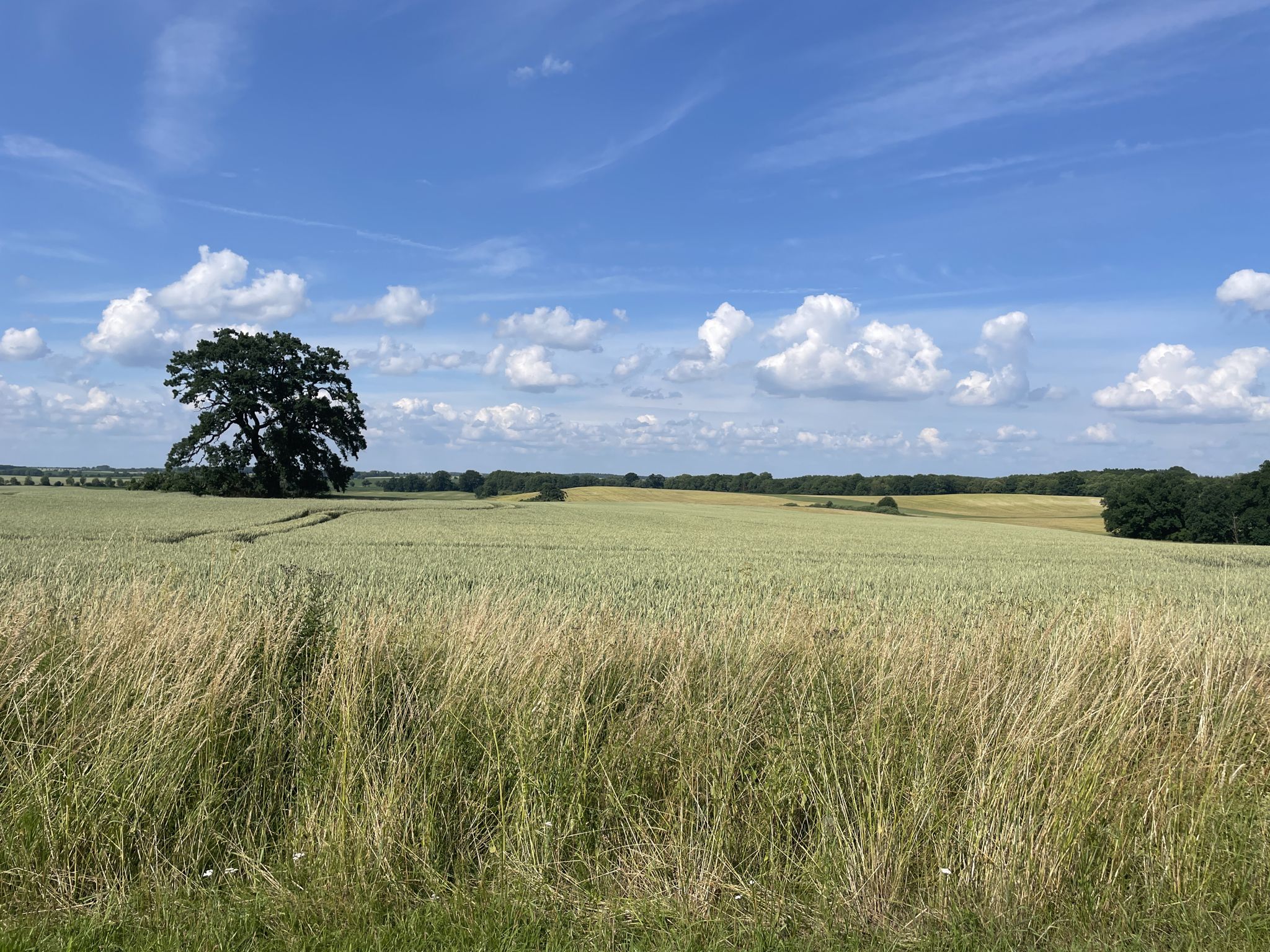 Nord-West-Blick