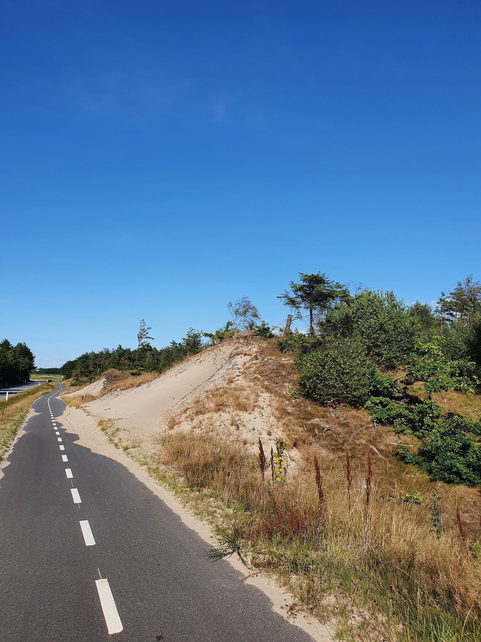 Wanderdüne...