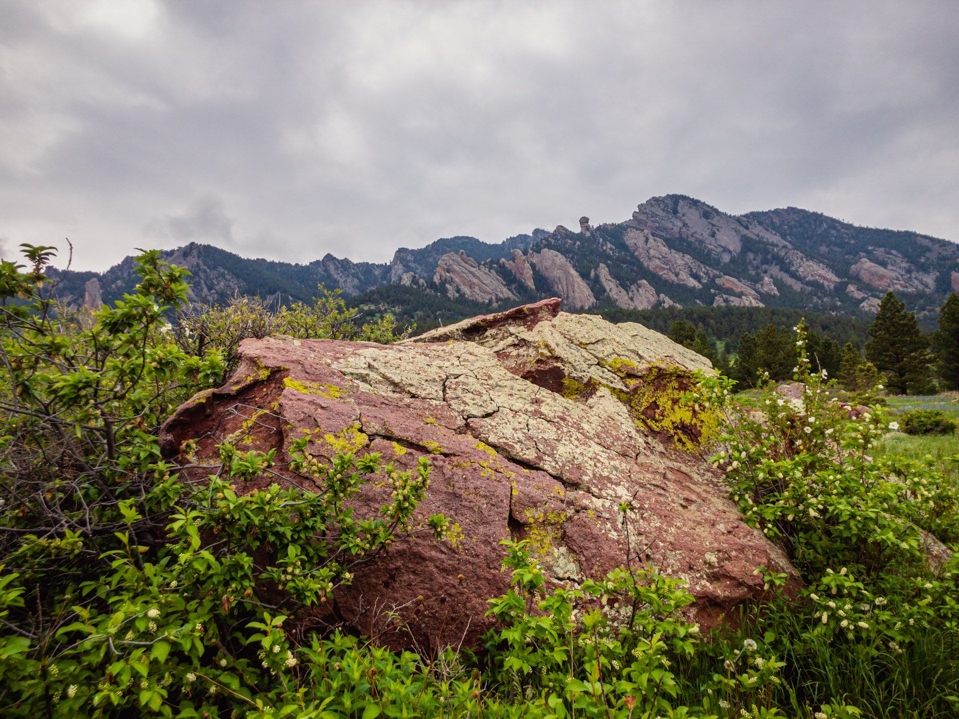 Large red and green lichen-covered rocks surrounded by green bushes, with cloudy mountains in background. - Running loop from Eldorado Springs