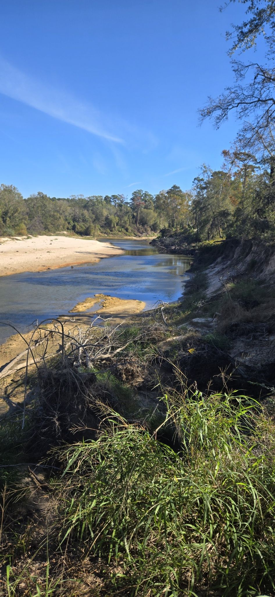 Winding river with sandy banks and dense forest under a clear blue sky. - Spring Creek Greenway Trail