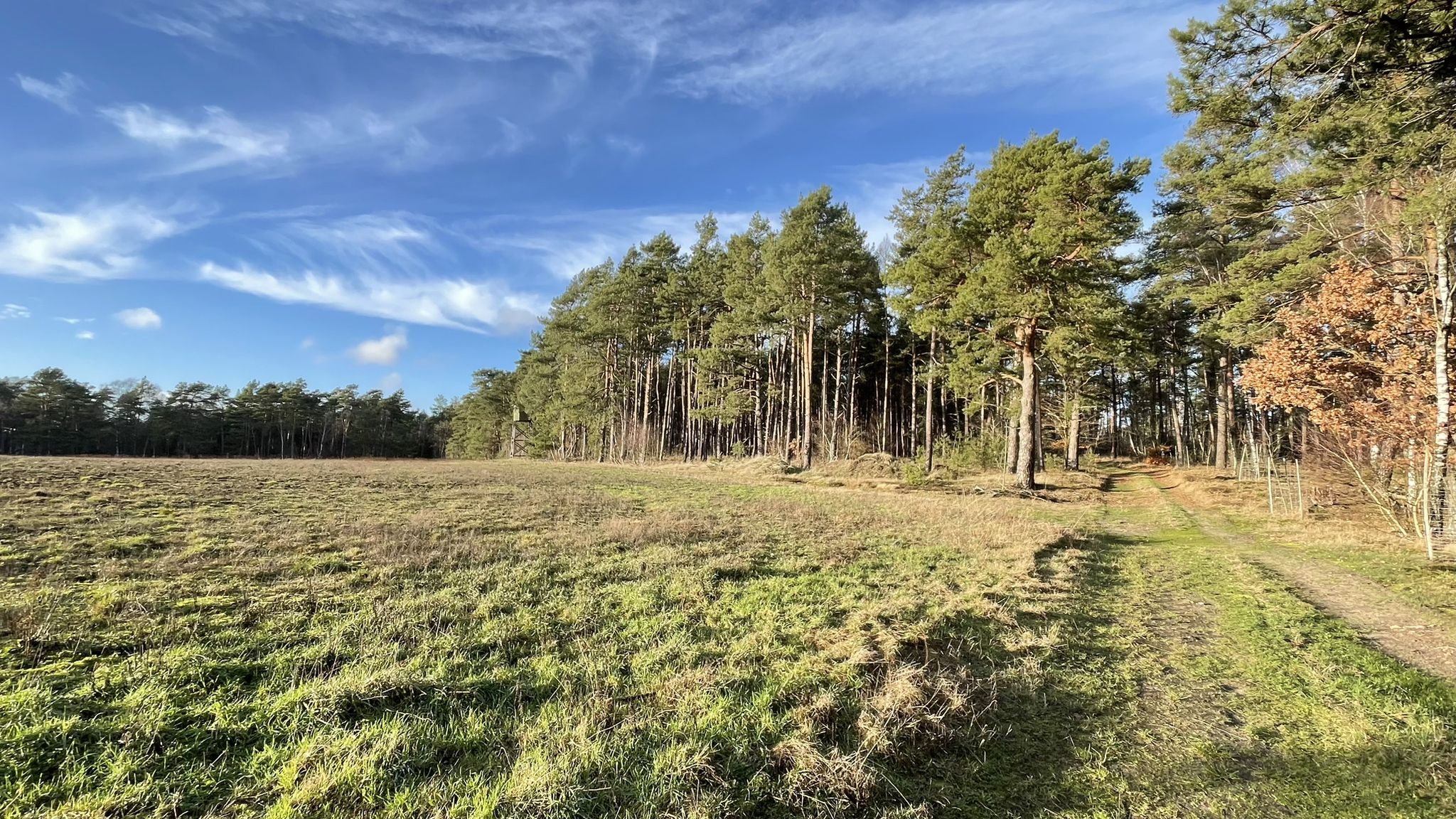 Bockelberg
