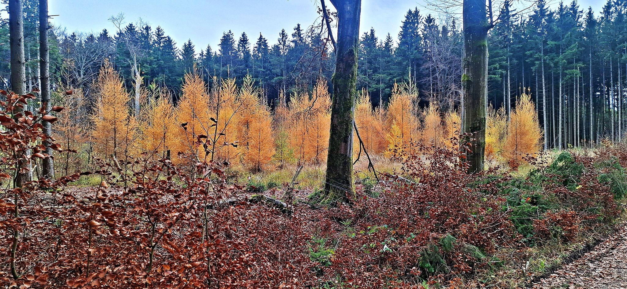 Leuchtfeuer