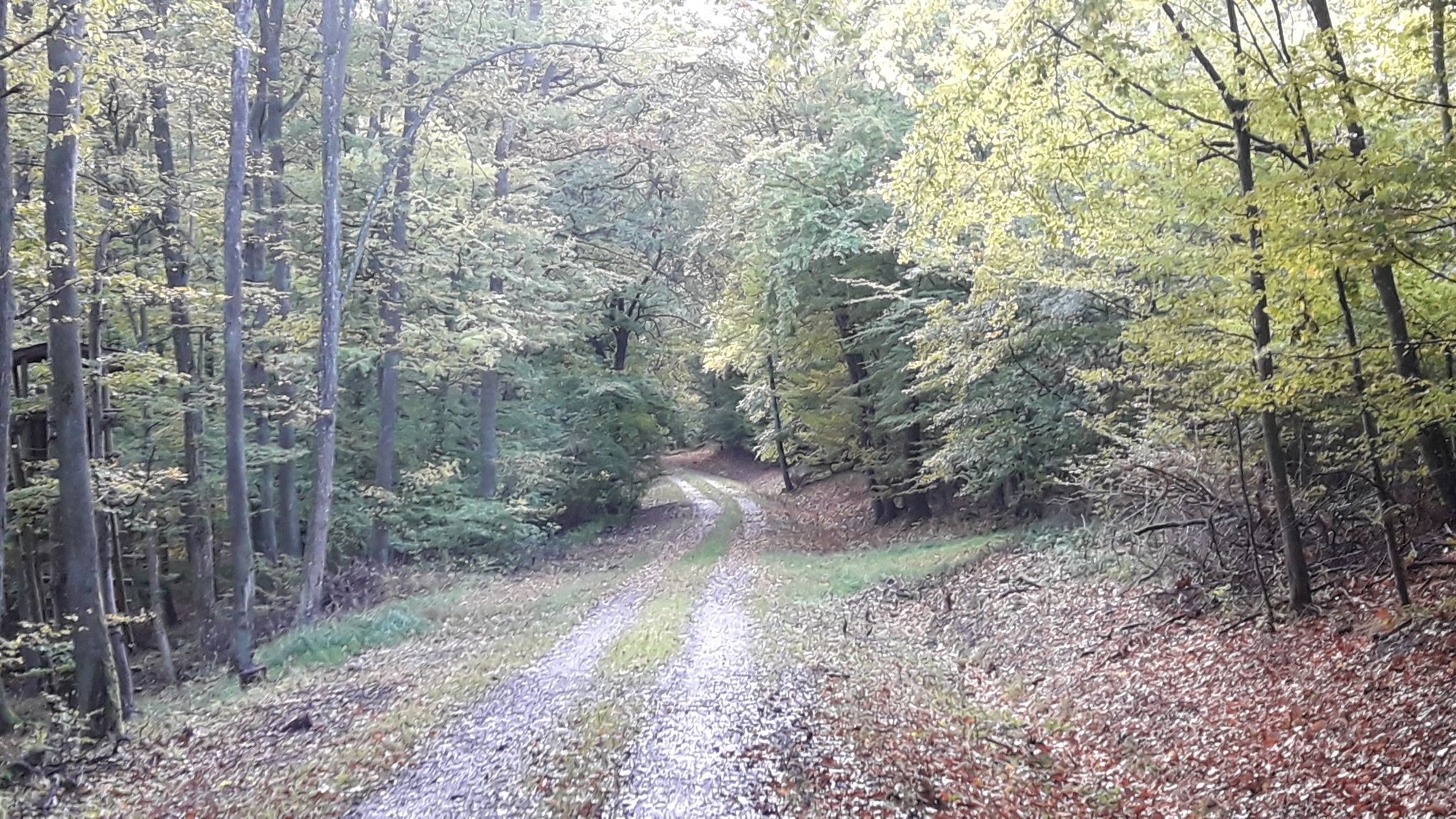 Rundweg