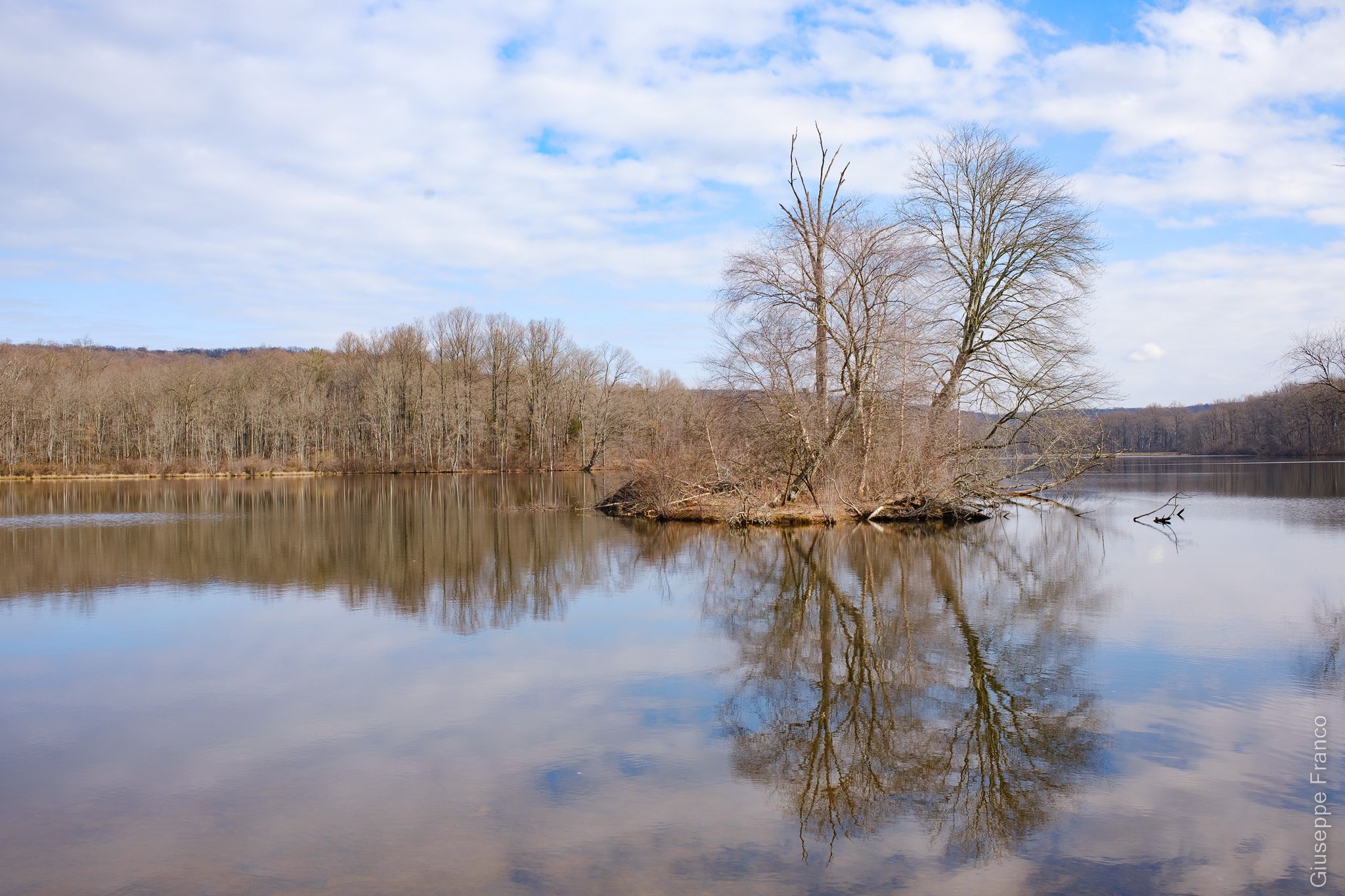 Calm lake reflecting bare trees on a small island under a partly cloudy sky. - French Creek State Park loop via Big Woods Trail