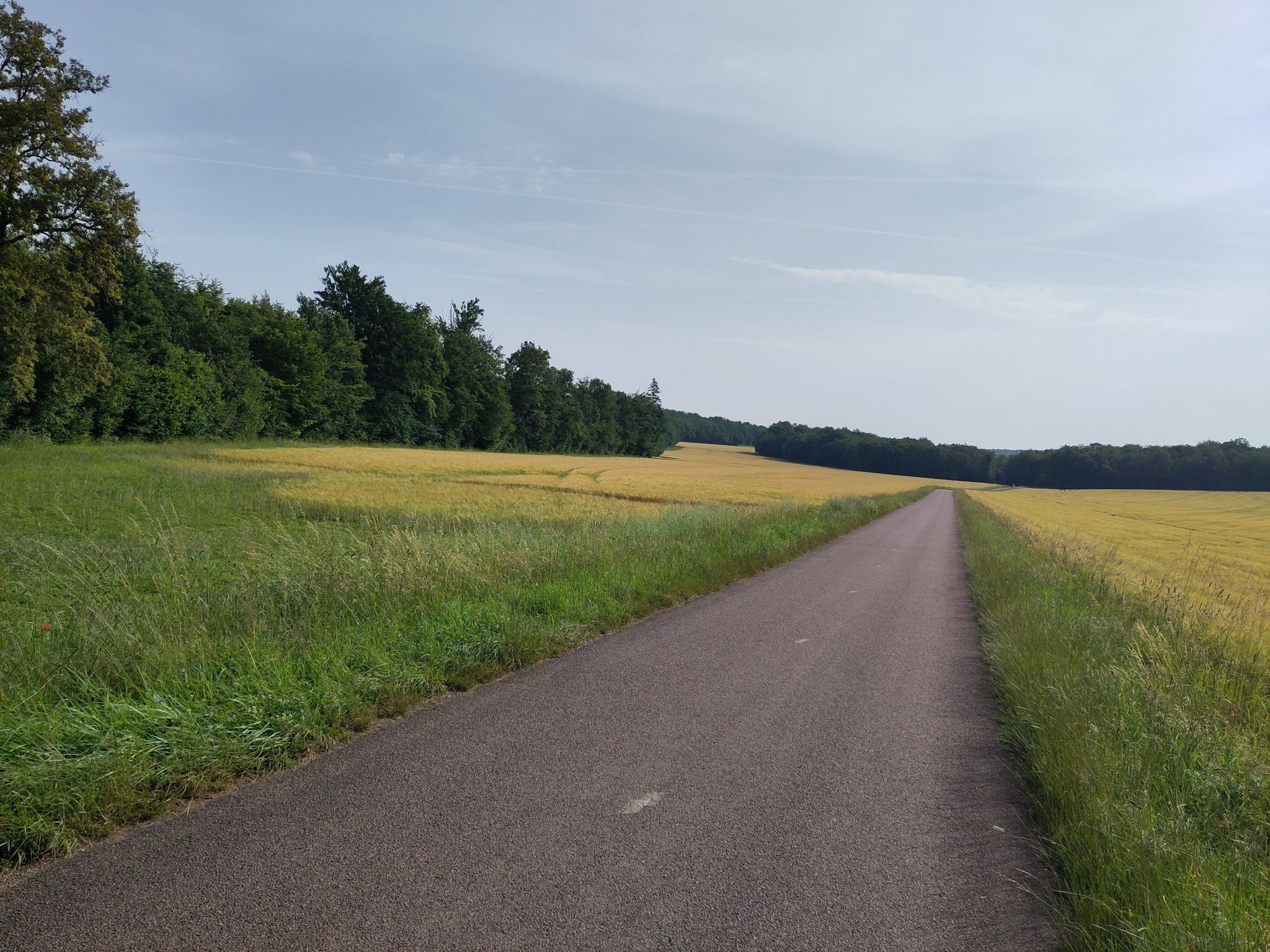 Ruhe und Vogelgezwitscher