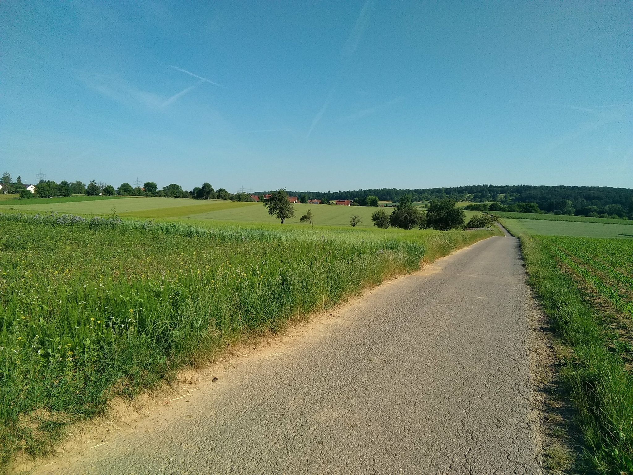 kurz vor Pinache