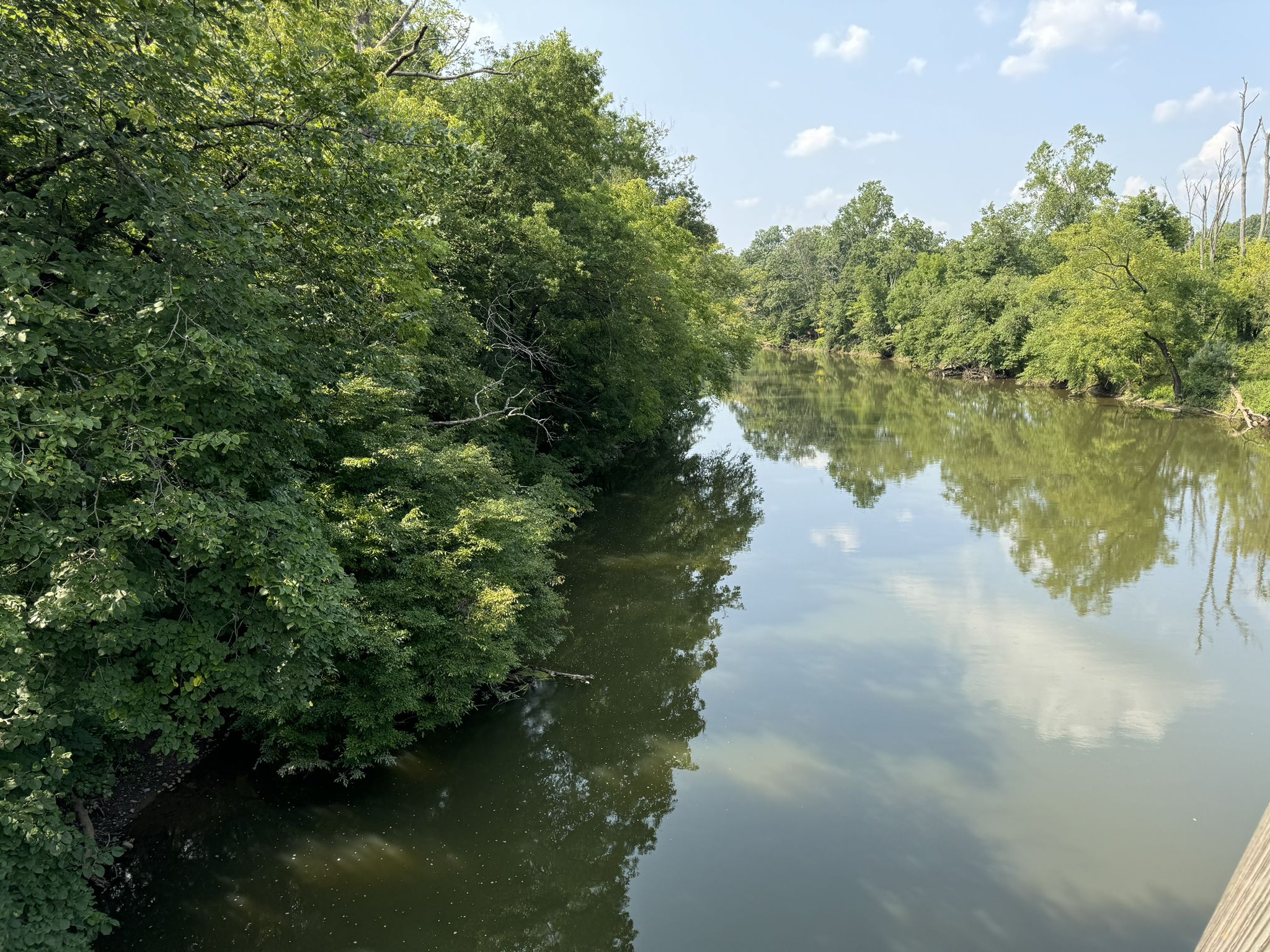Wide river with lush green trees lining both banks under a cloudy sky. - Perkiomen Bicycles – Steep Climb on Perkiomen Trail loop from Lower Salford Township