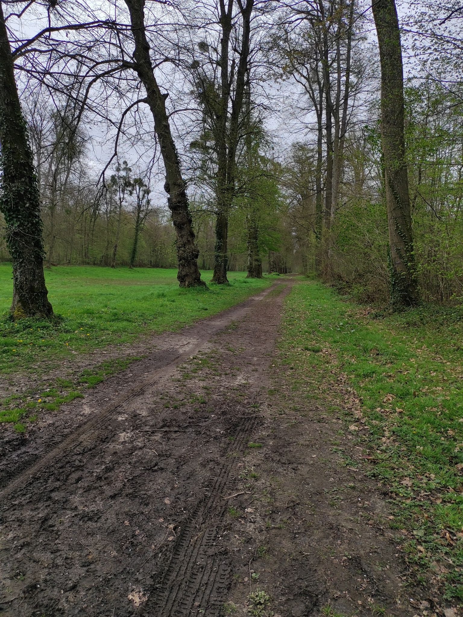 direction N2 ! petit parc