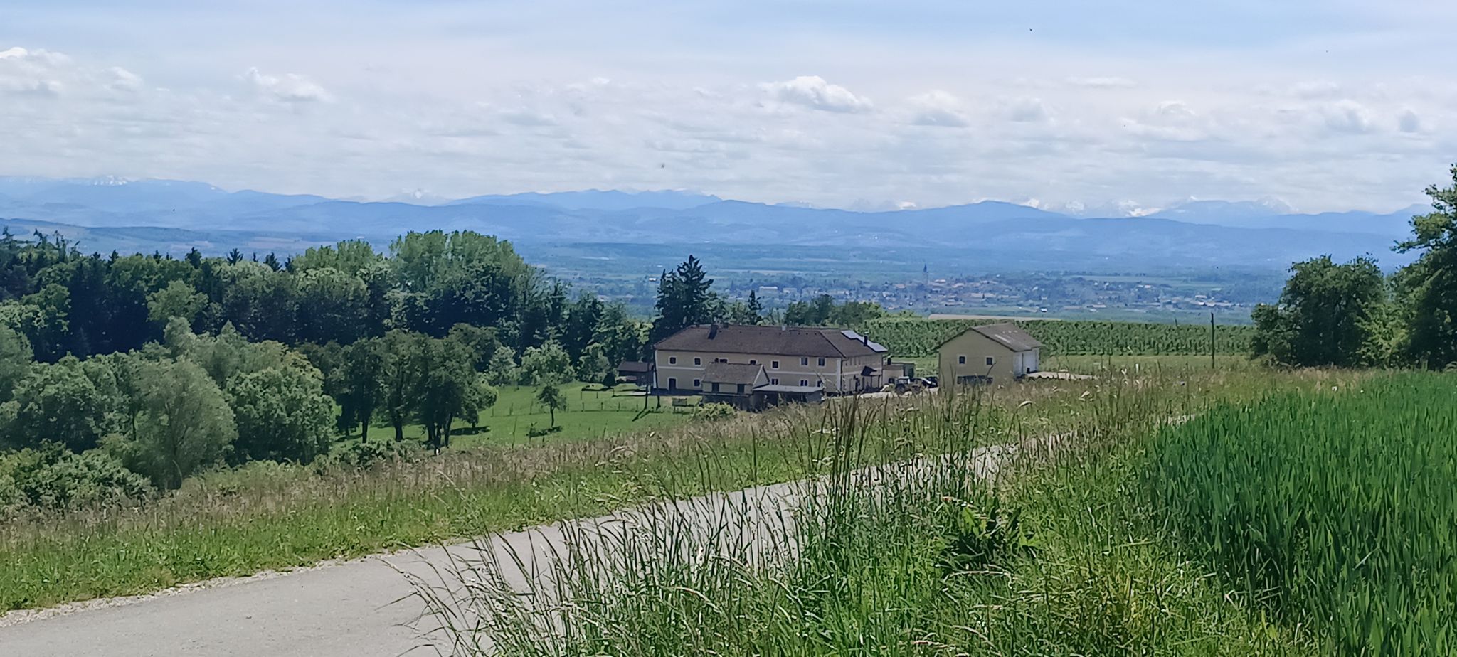 Frankenberg