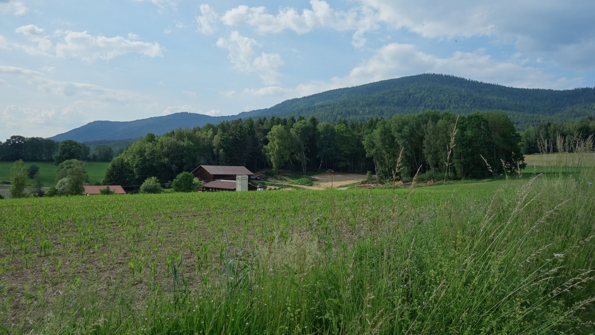 Rückblick