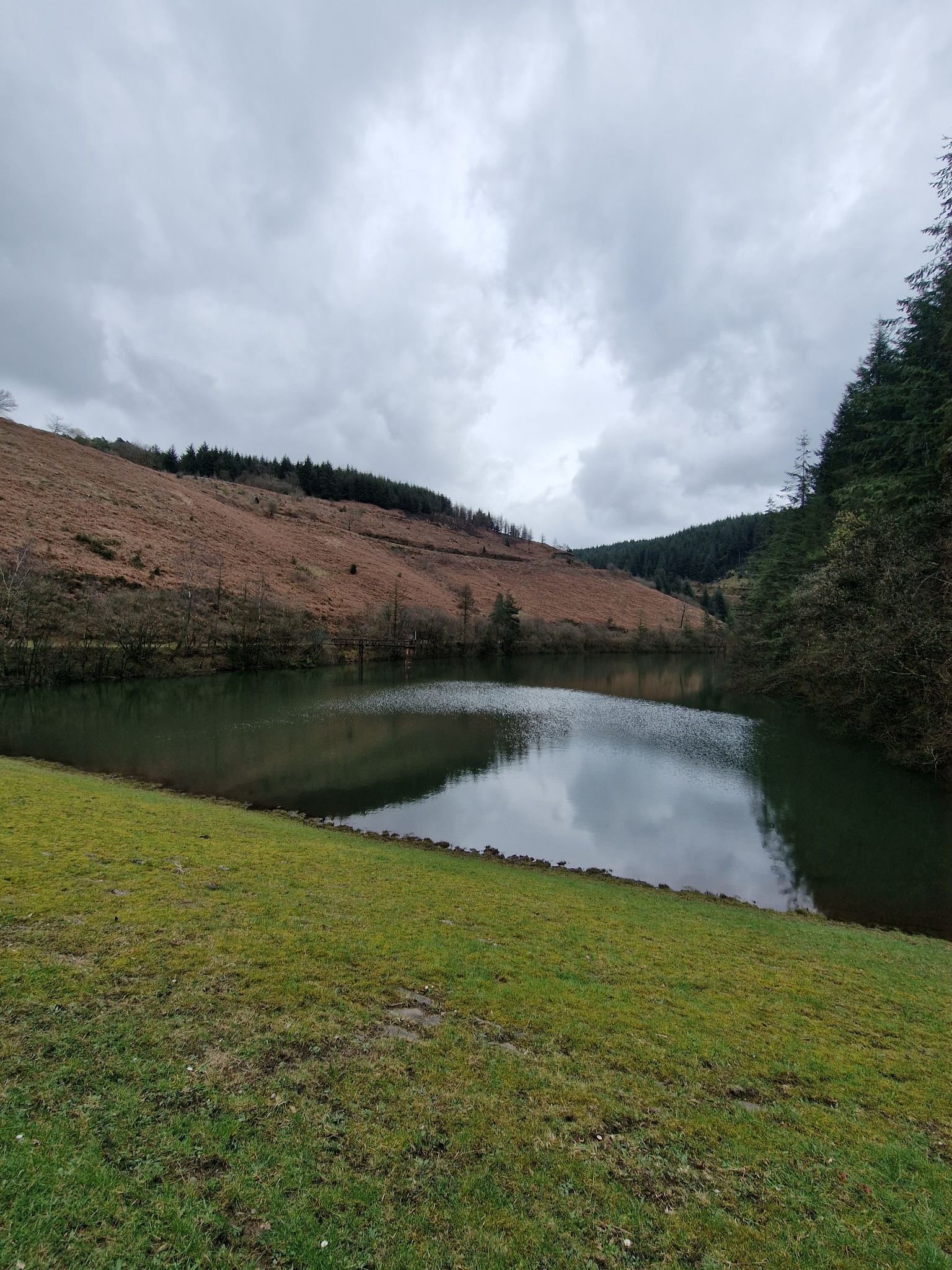 Goytre Res