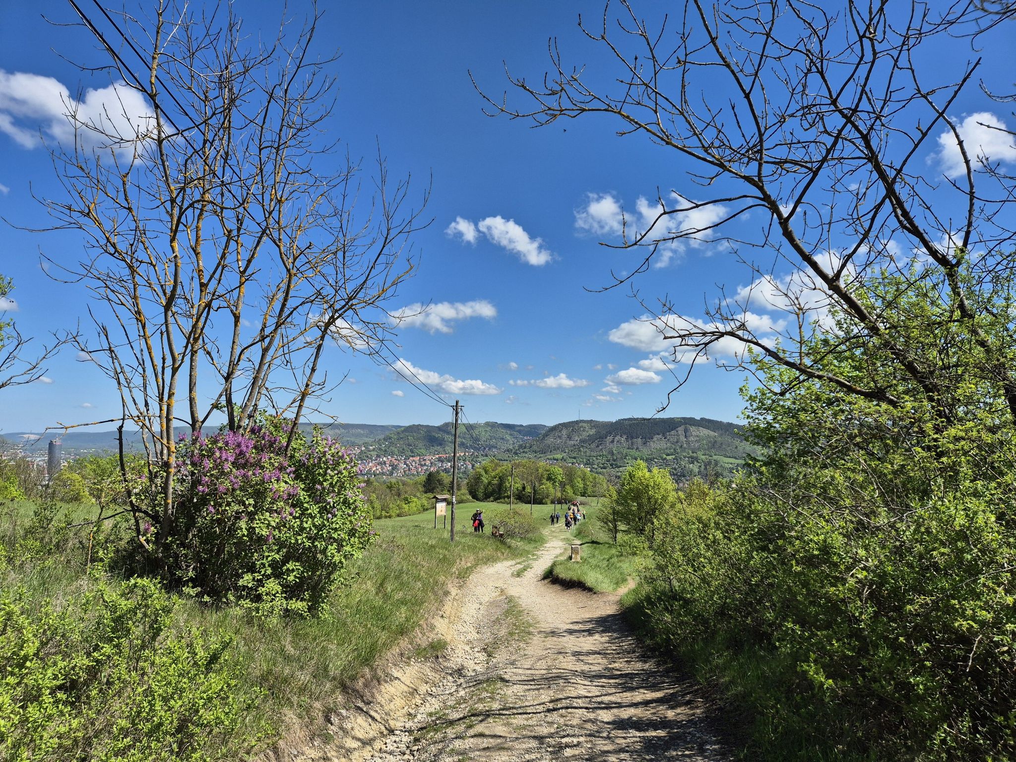 Abstieg entlang der Ammerbacher Platte