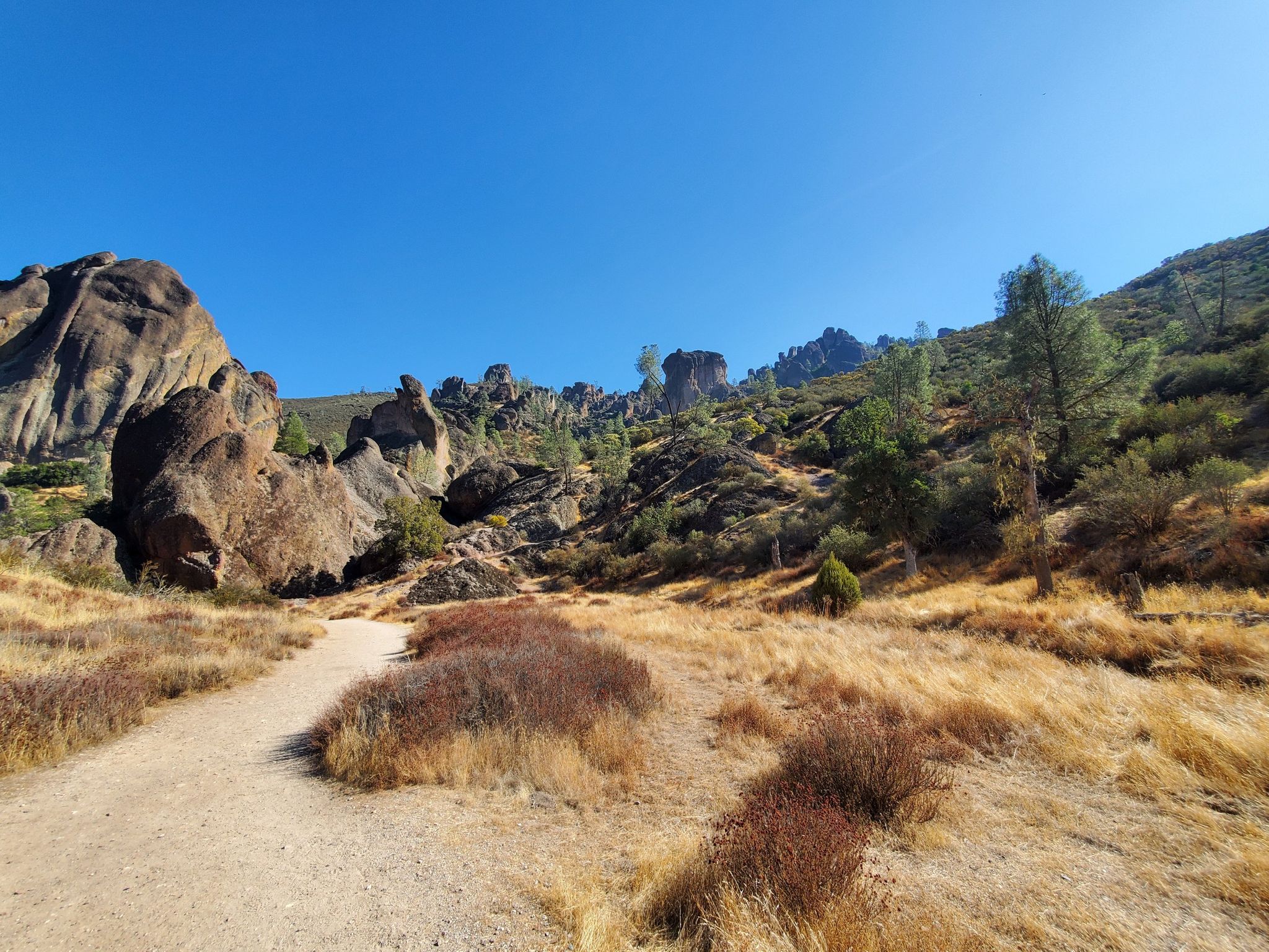 Dirt path through golden dry grass and large rocky hills under a clear blue sky. - Balconies Trail