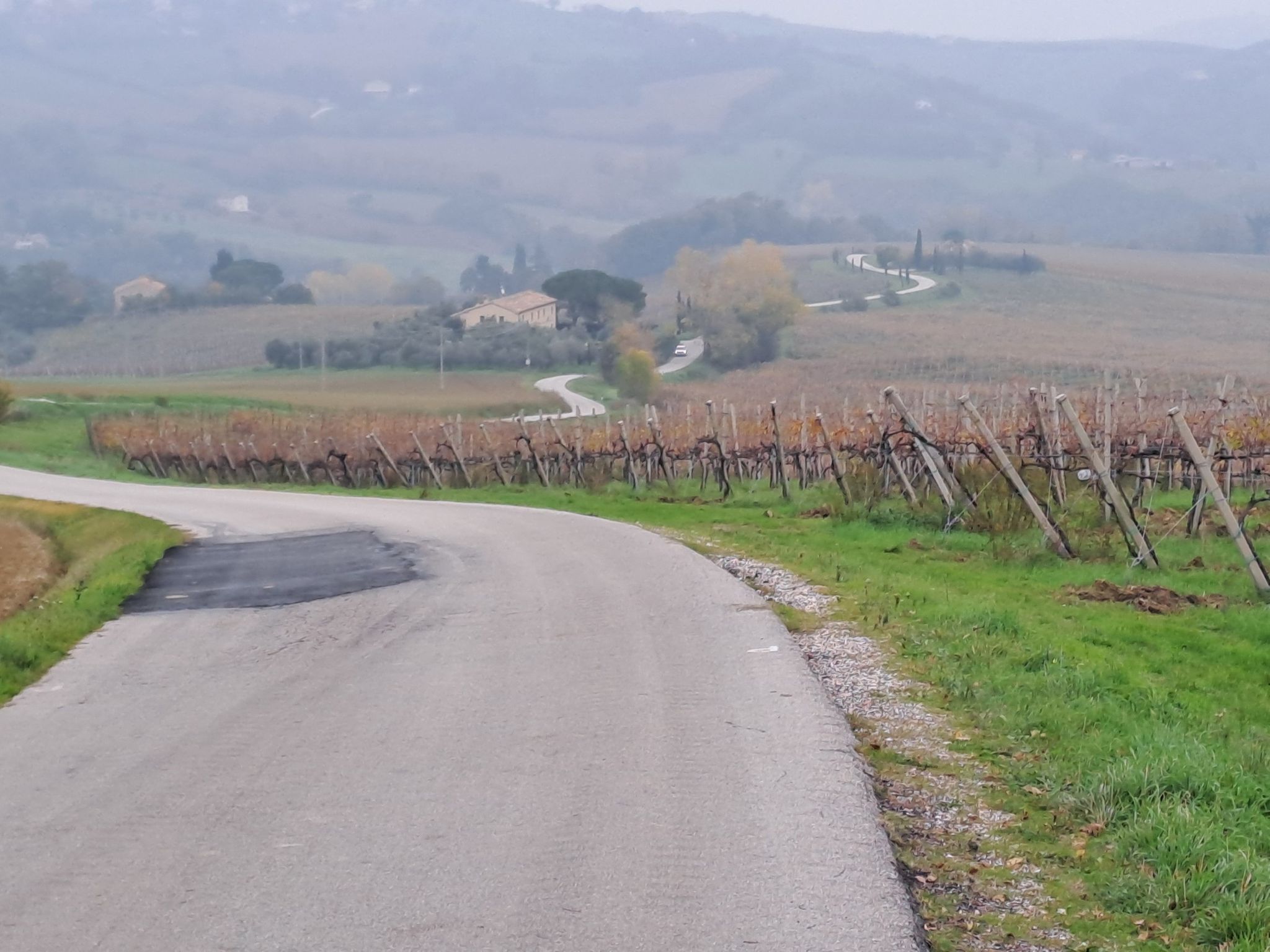 campioli bella salita o discesa