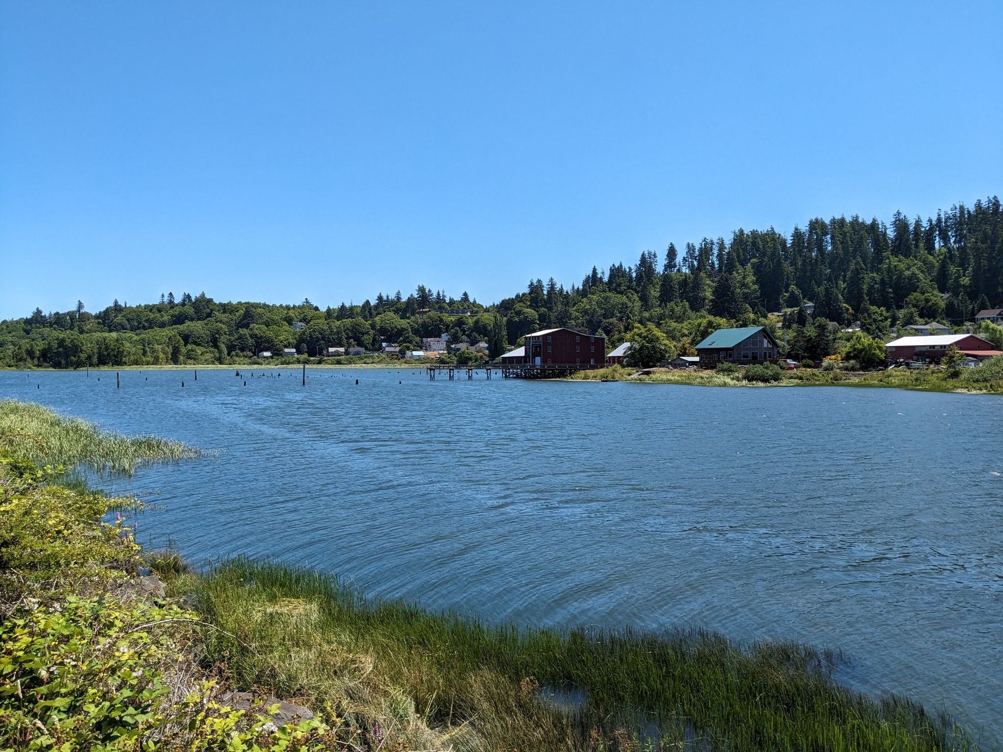 Wide river with forested banks and distant houses under a clear blue sky. - Astoria Riverwalk Trail – Columbia River Maritime Museum loop from Astoria