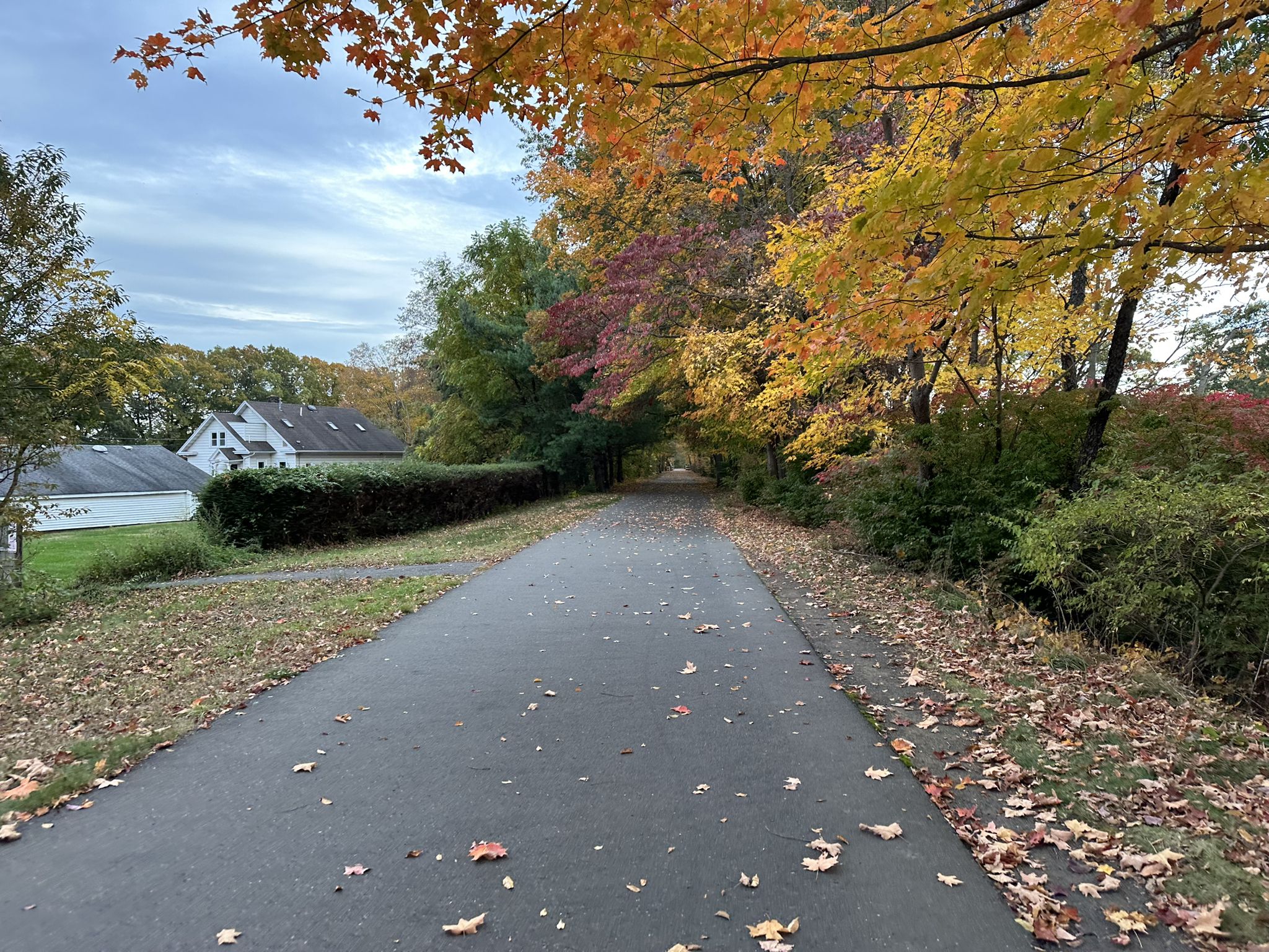 Paved path lined with vibrant autumn trees under an overcast sky. - Bike loop from New Haven