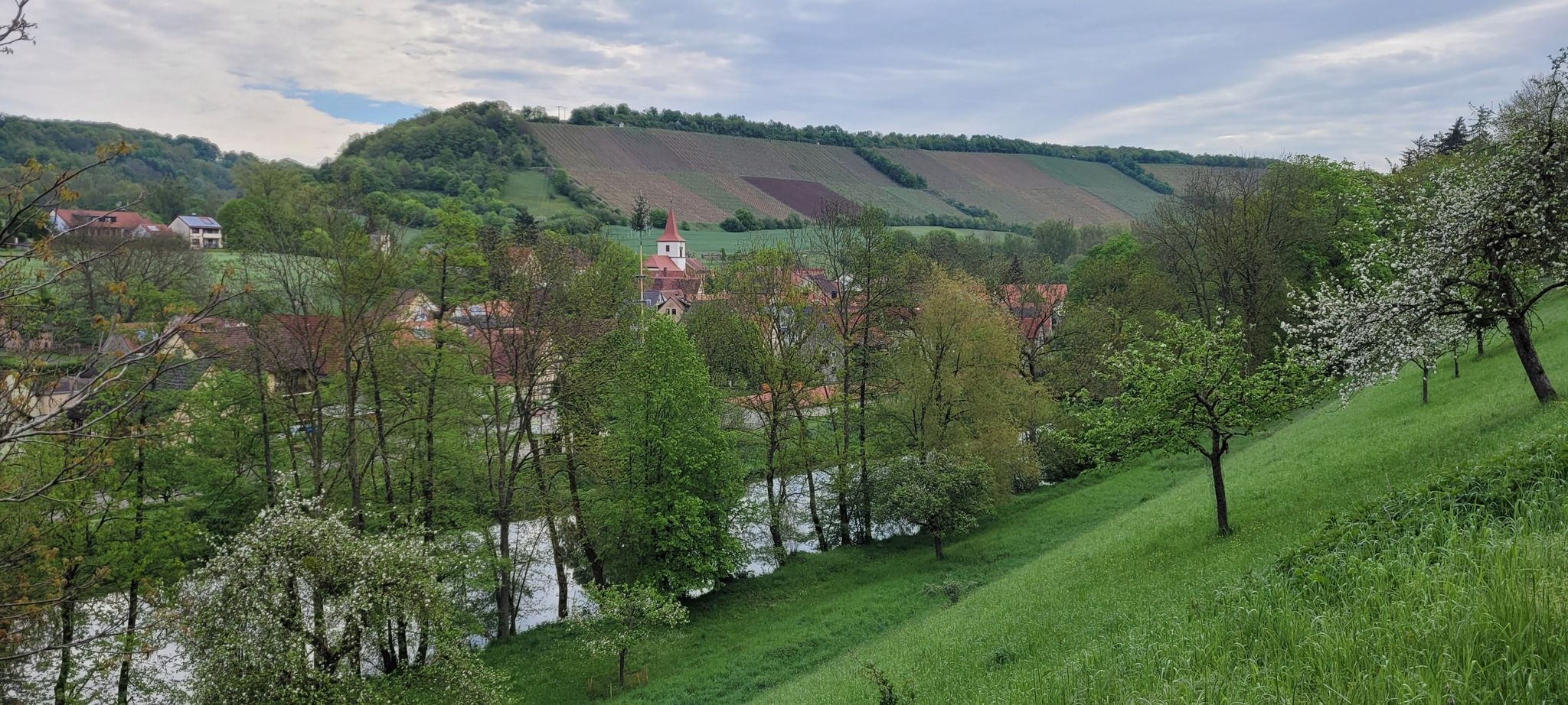 Tauberzell mit den Weinbergen im Hintergrund