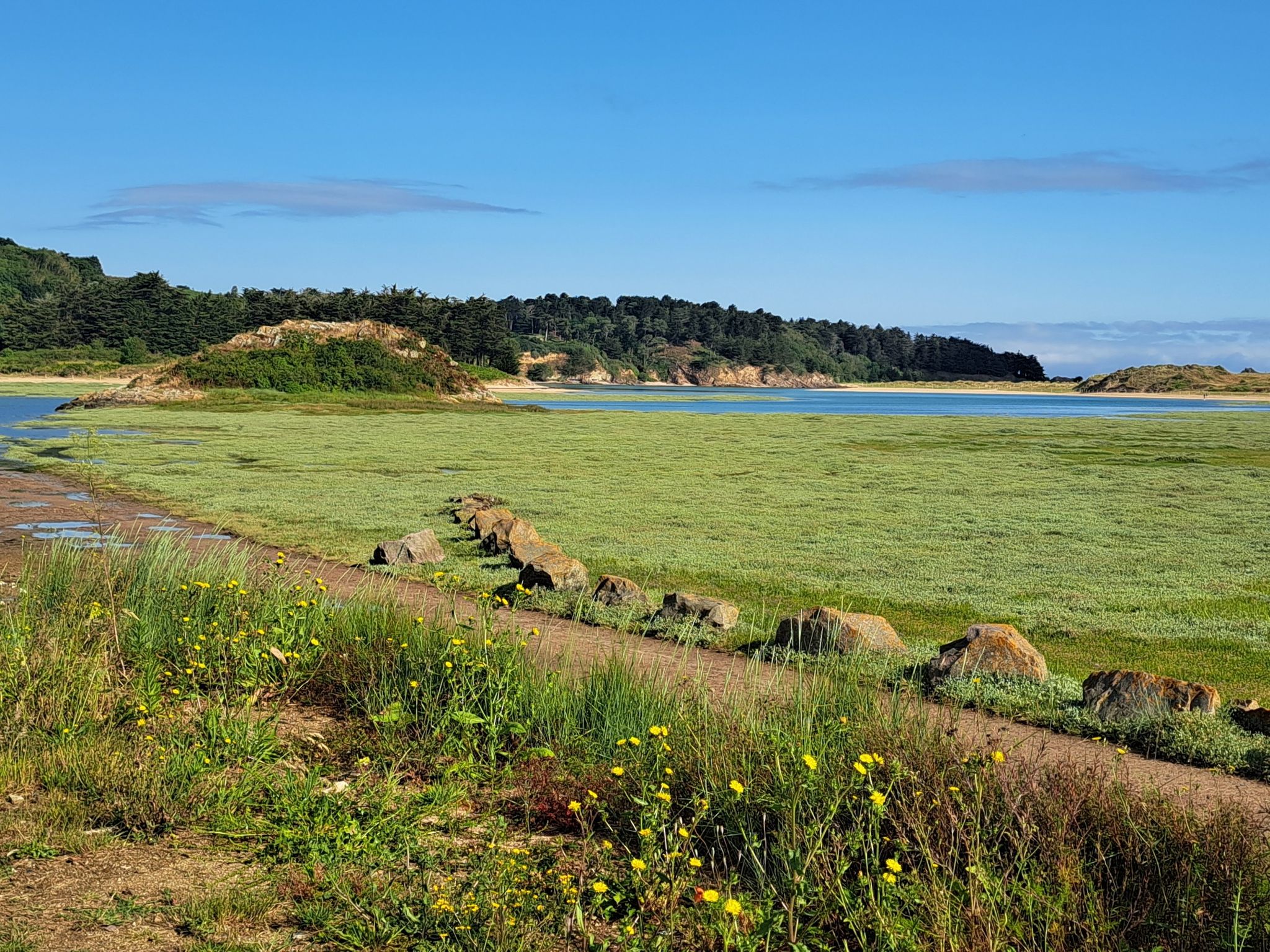 panorama moerassen
